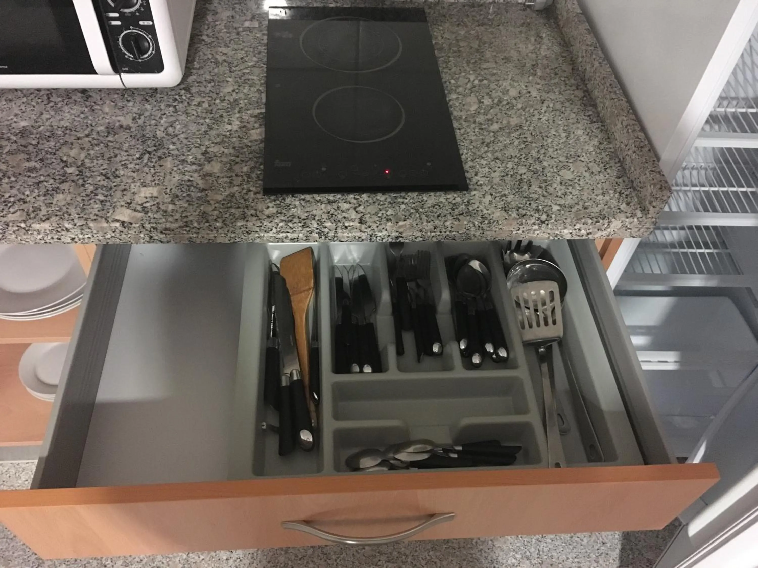 Kitchen or kitchenette in Hotel Albanta