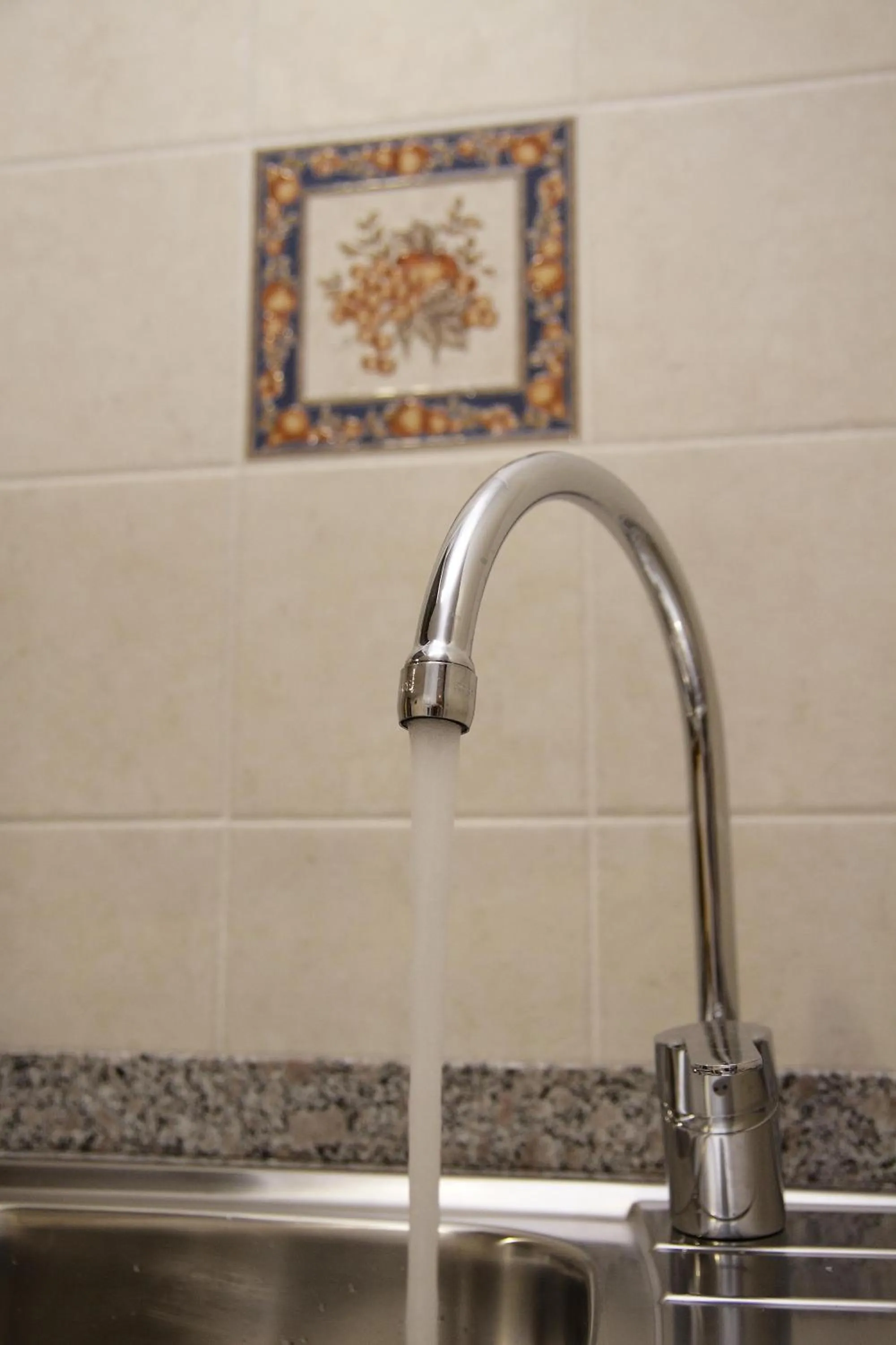 Kitchen or kitchenette in Hotel Albanta