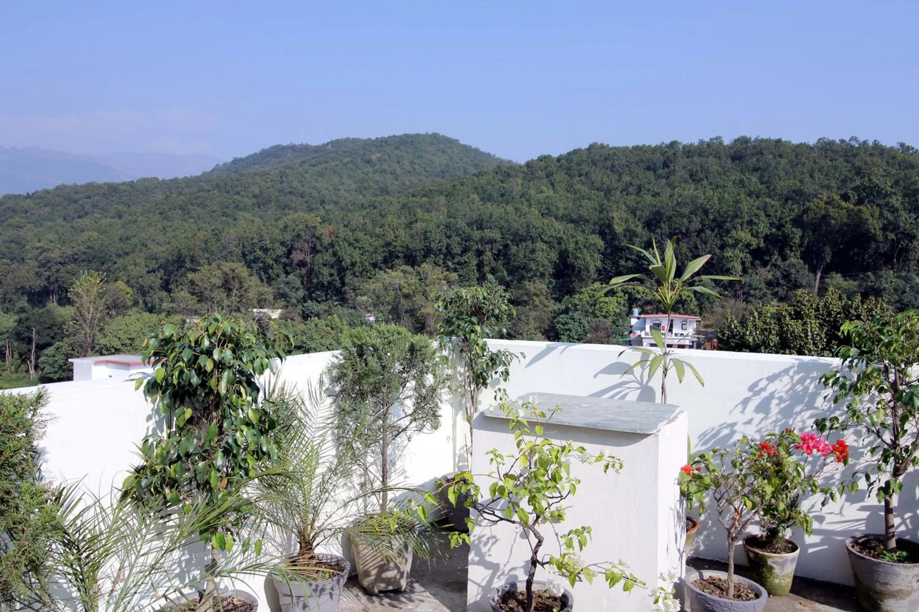 Mountain view in Hotel Forest Avenue - Best Luxury Hotel in Dehradun