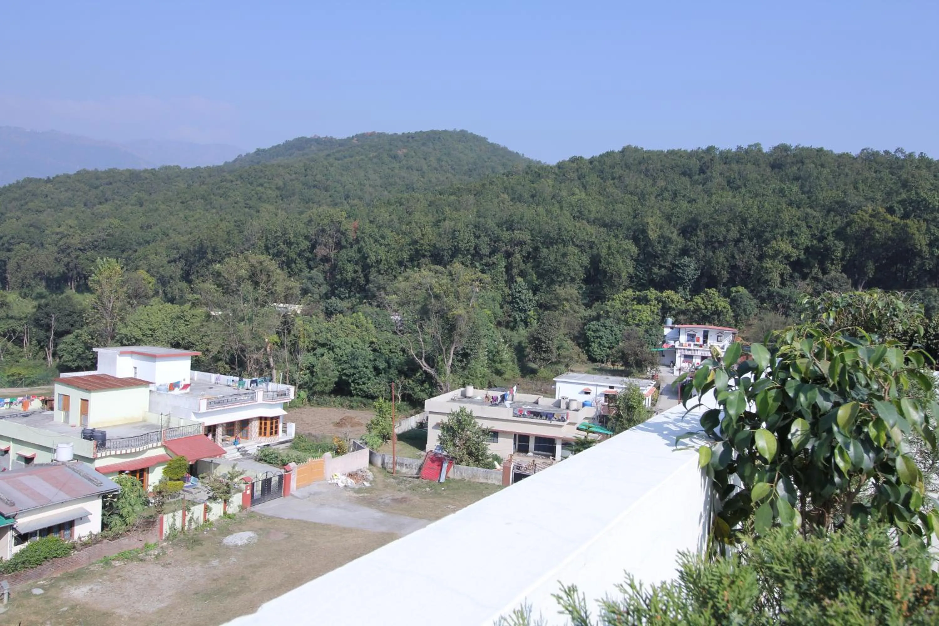 Street view in Hotel Forest Avenue - Best Luxury Hotel in Dehradun