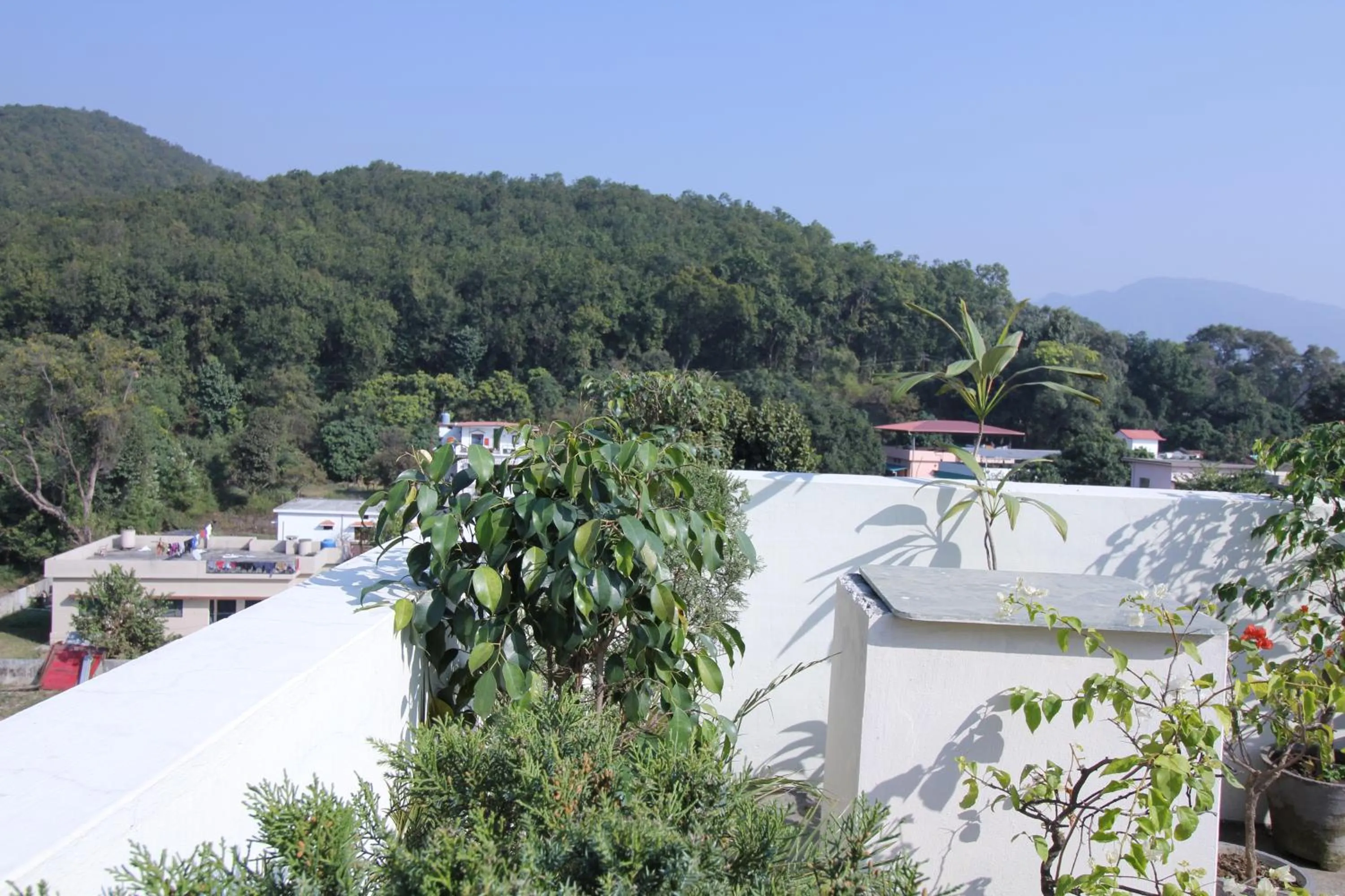 Day in Hotel Forest Avenue - Best Luxury Hotel in Dehradun