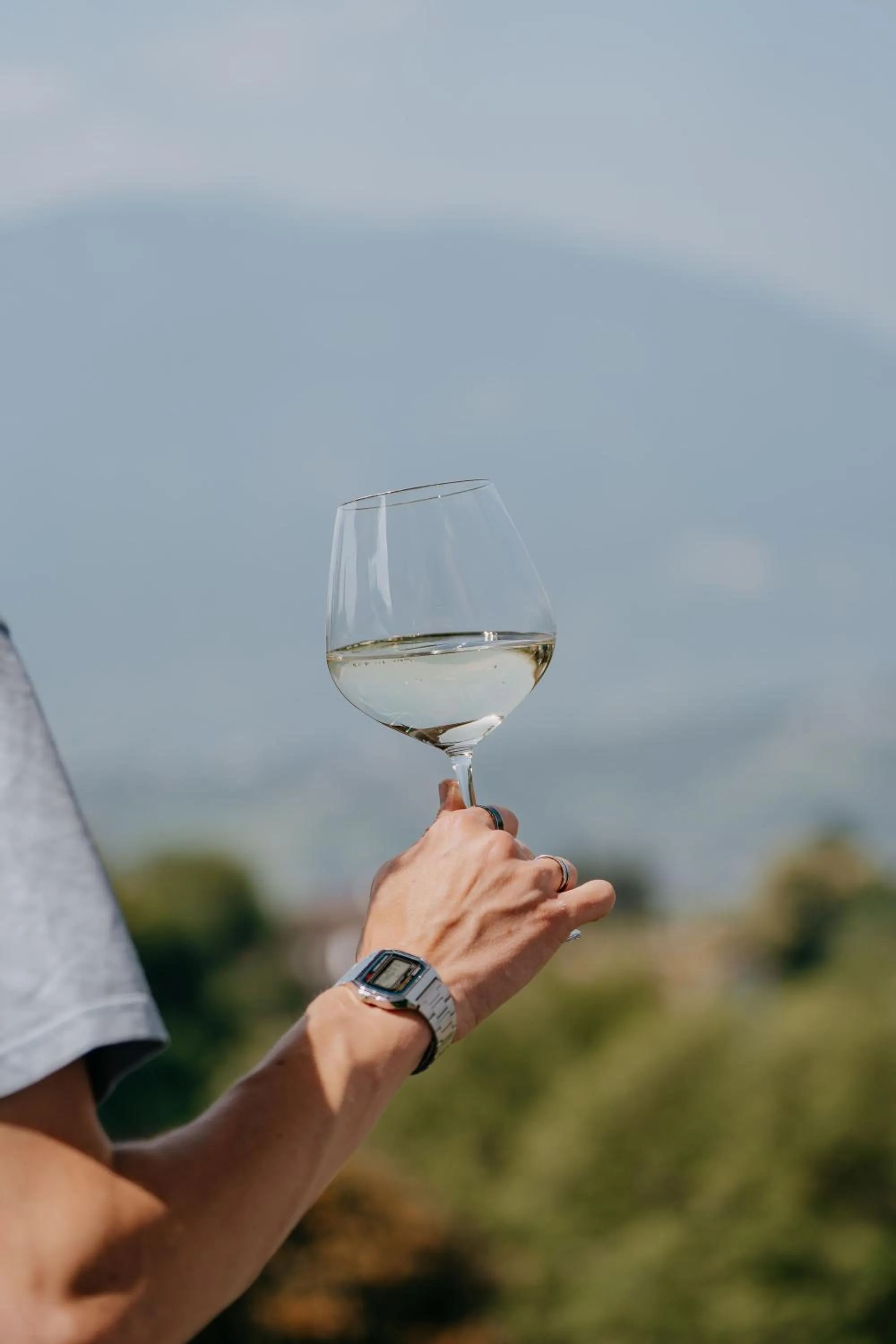 Drinks in Adults only Hotel Grafenstein