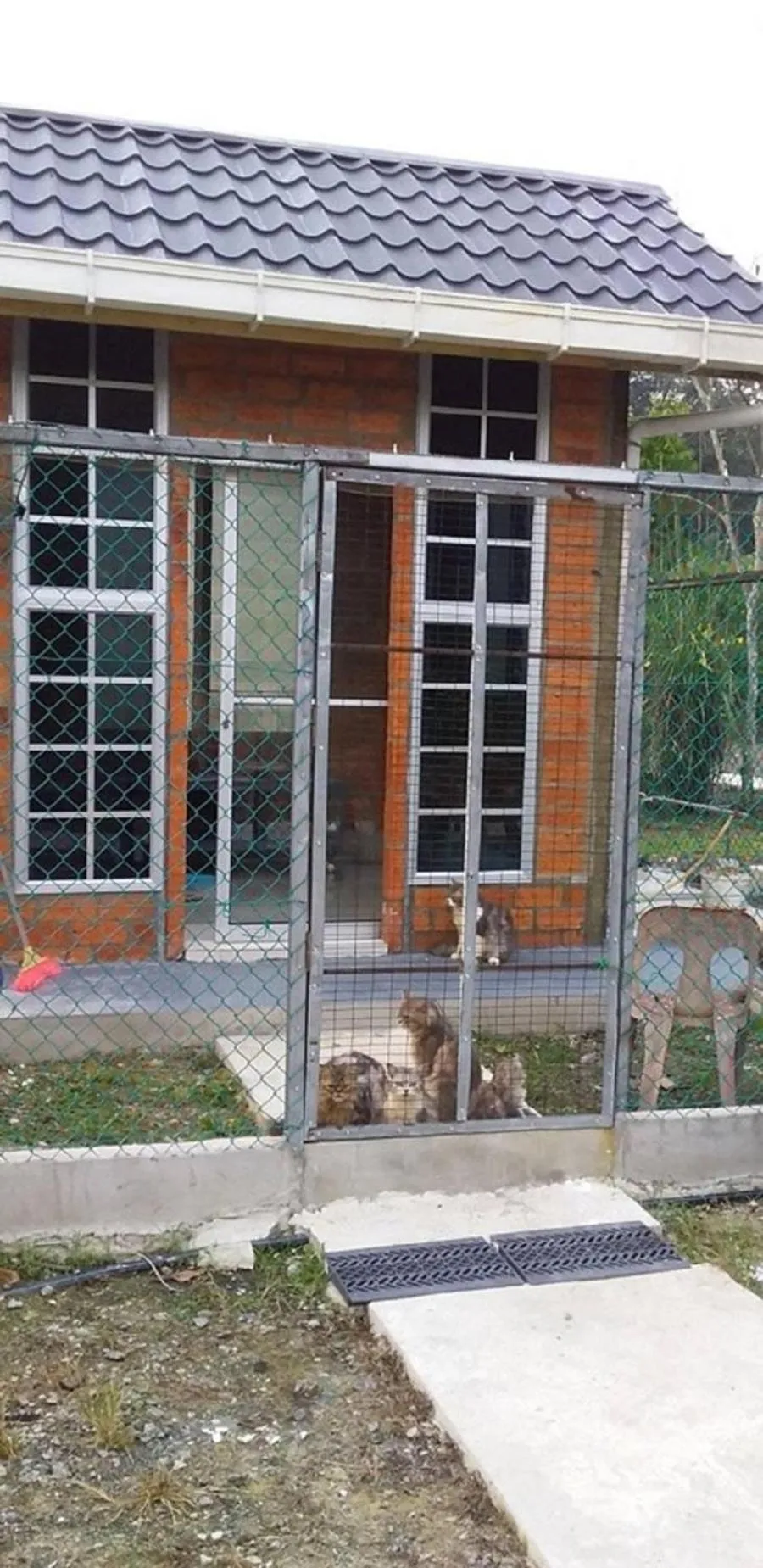 Pets in Seri Kenangan