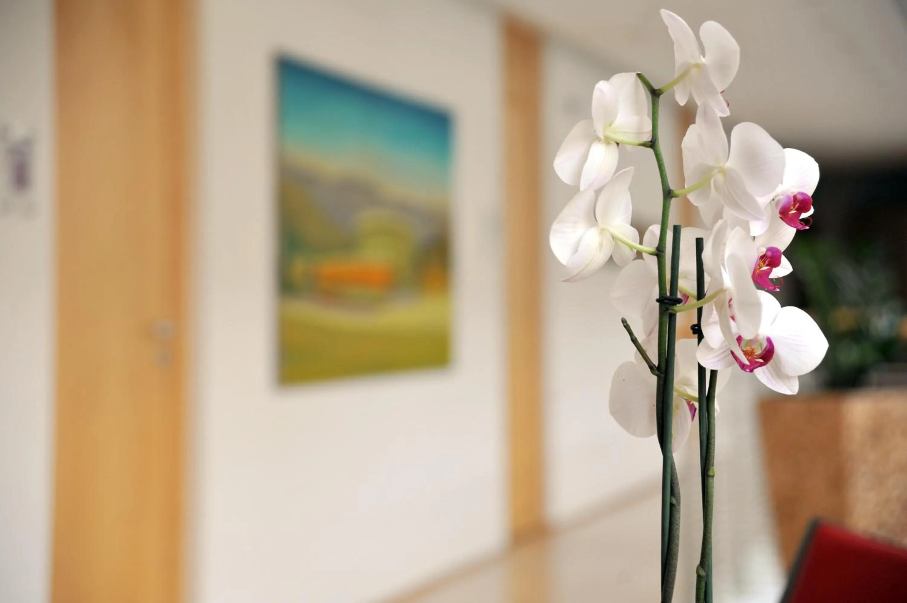 Decorative detail in Hôtel Galerie