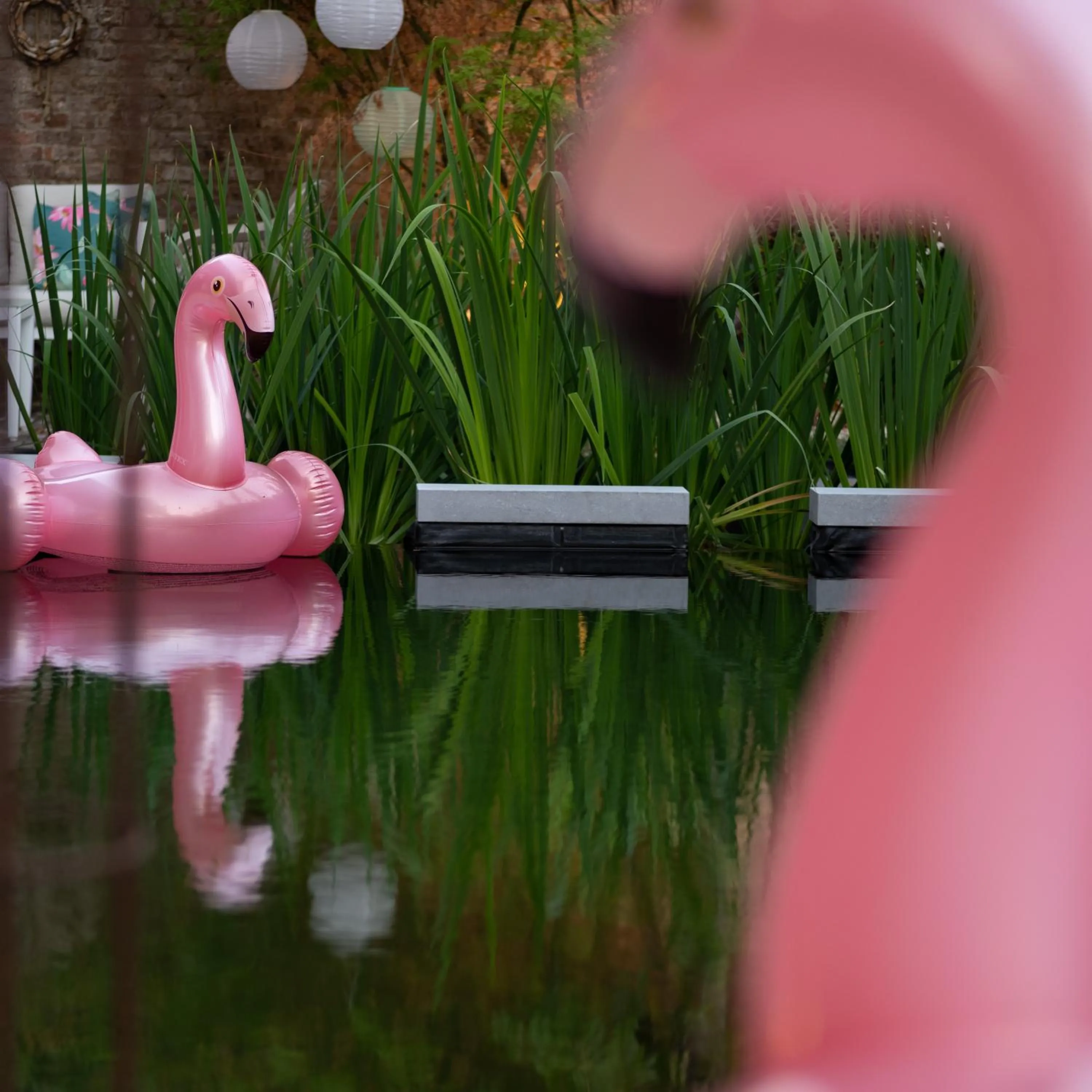 Swimming pool in B&B La Corderie
