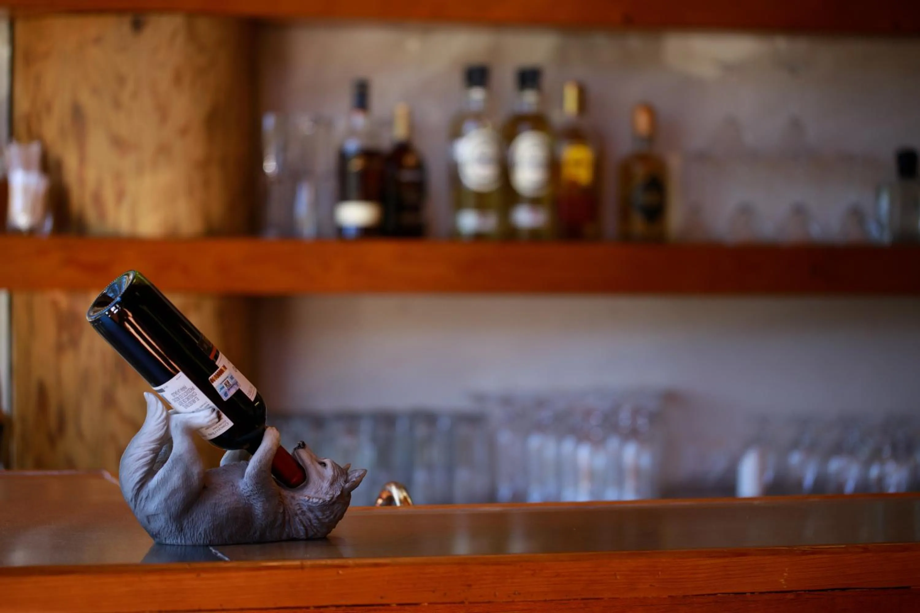 Lounge or bar in Molinillos Mountain Resort