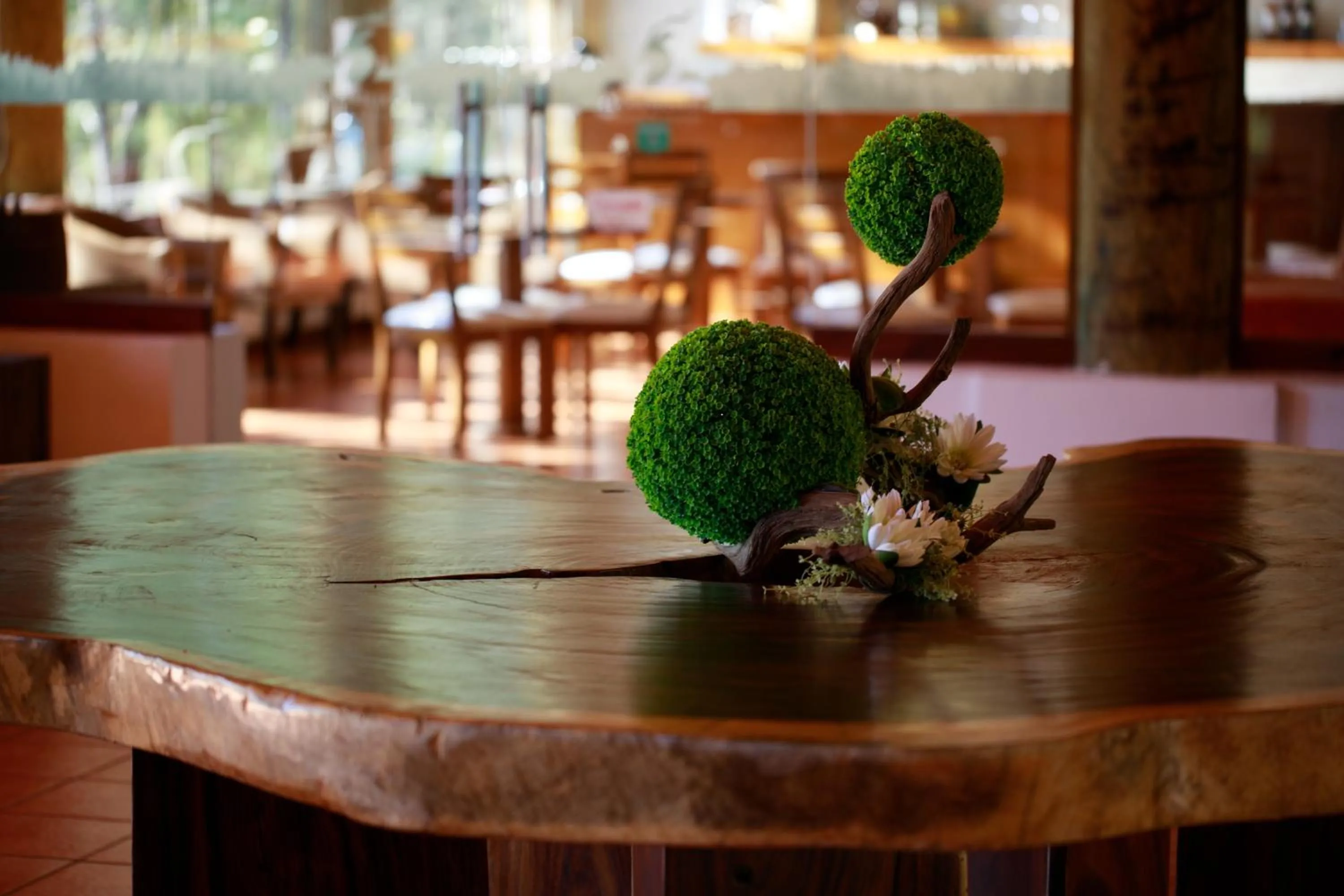 Restaurant/places to eat in Molinillos Mountain Resort