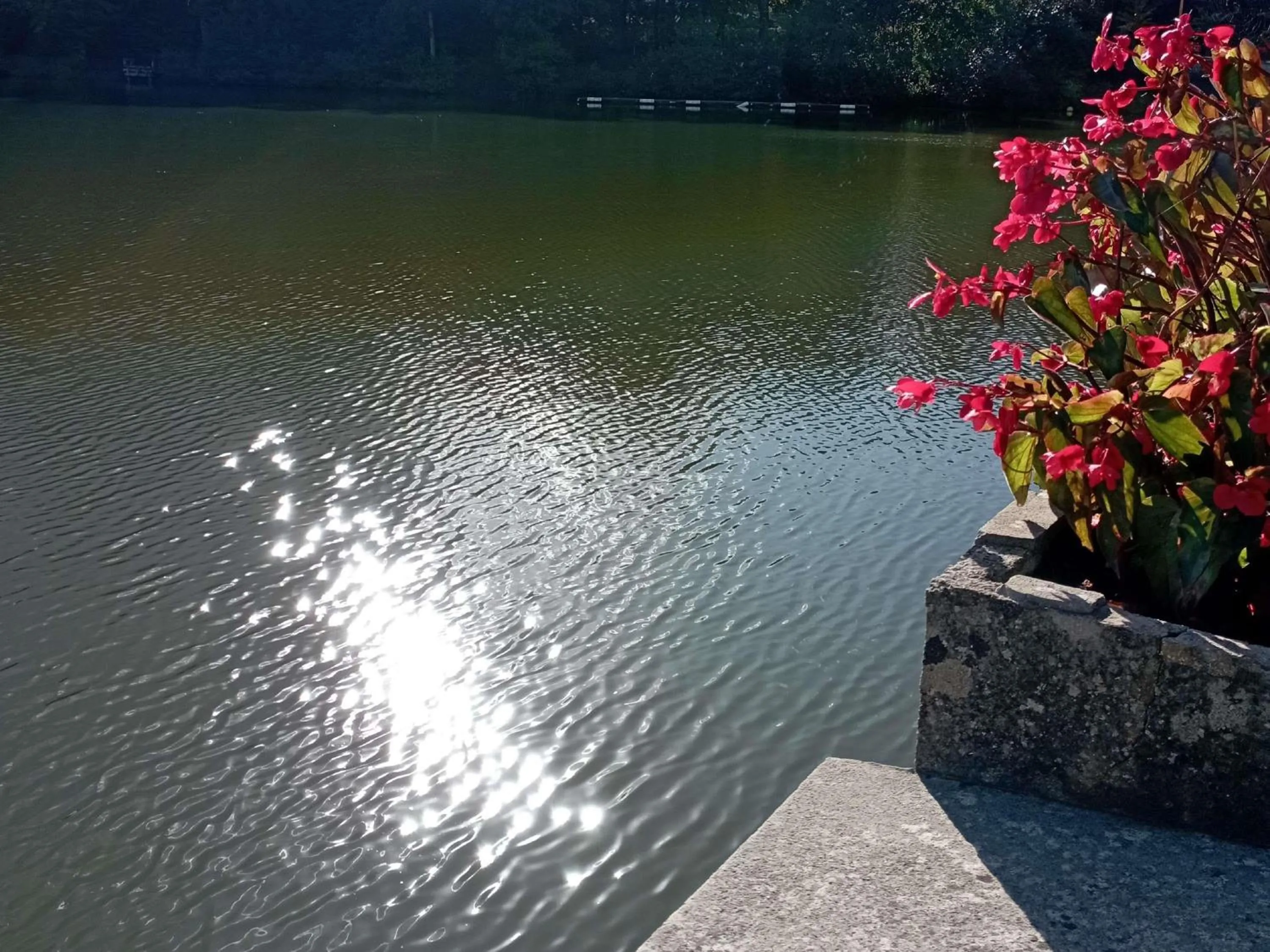 Property building in ibis les Etangs des Moines