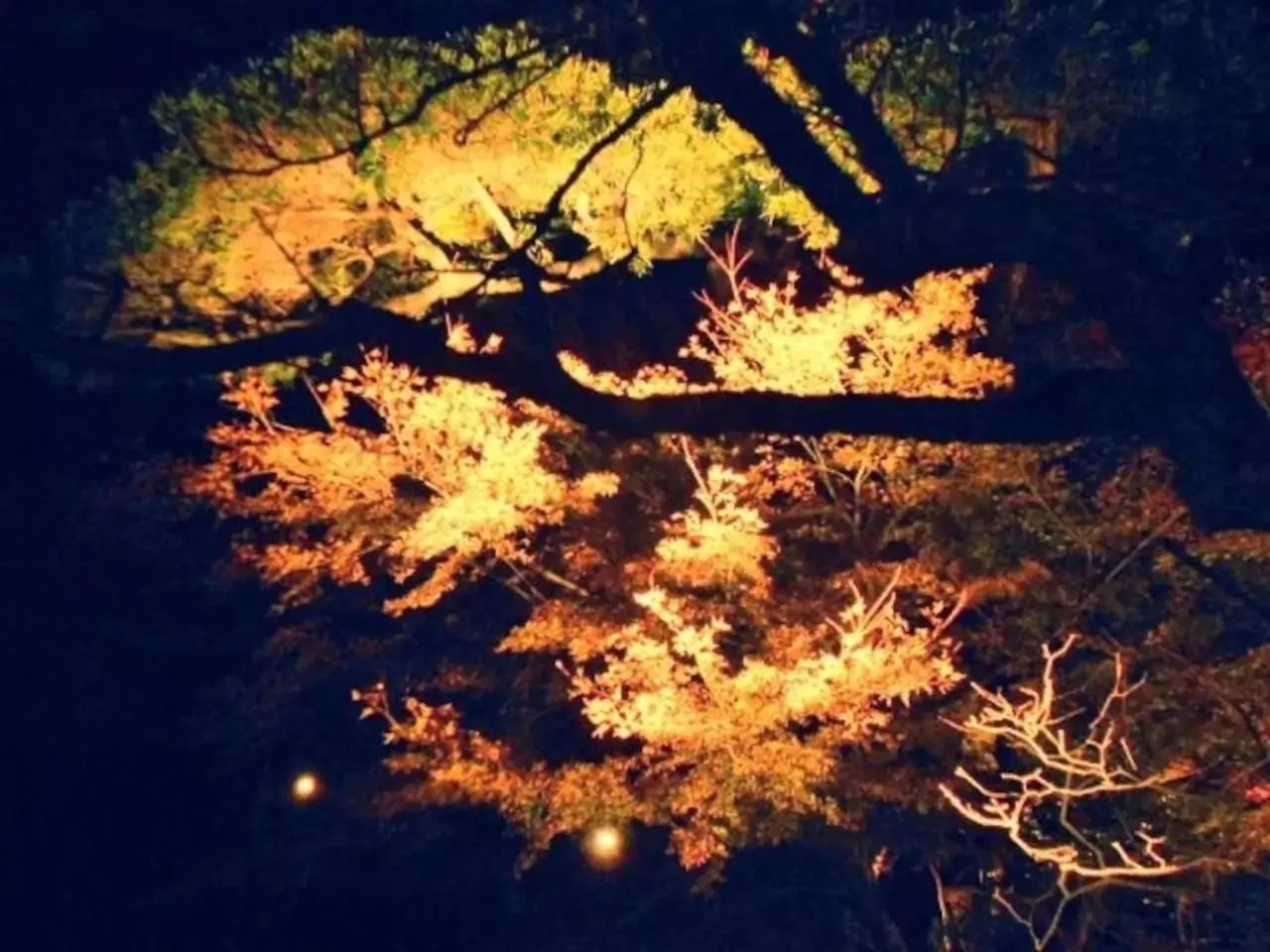 Nearby landmark in Villa Kamakura