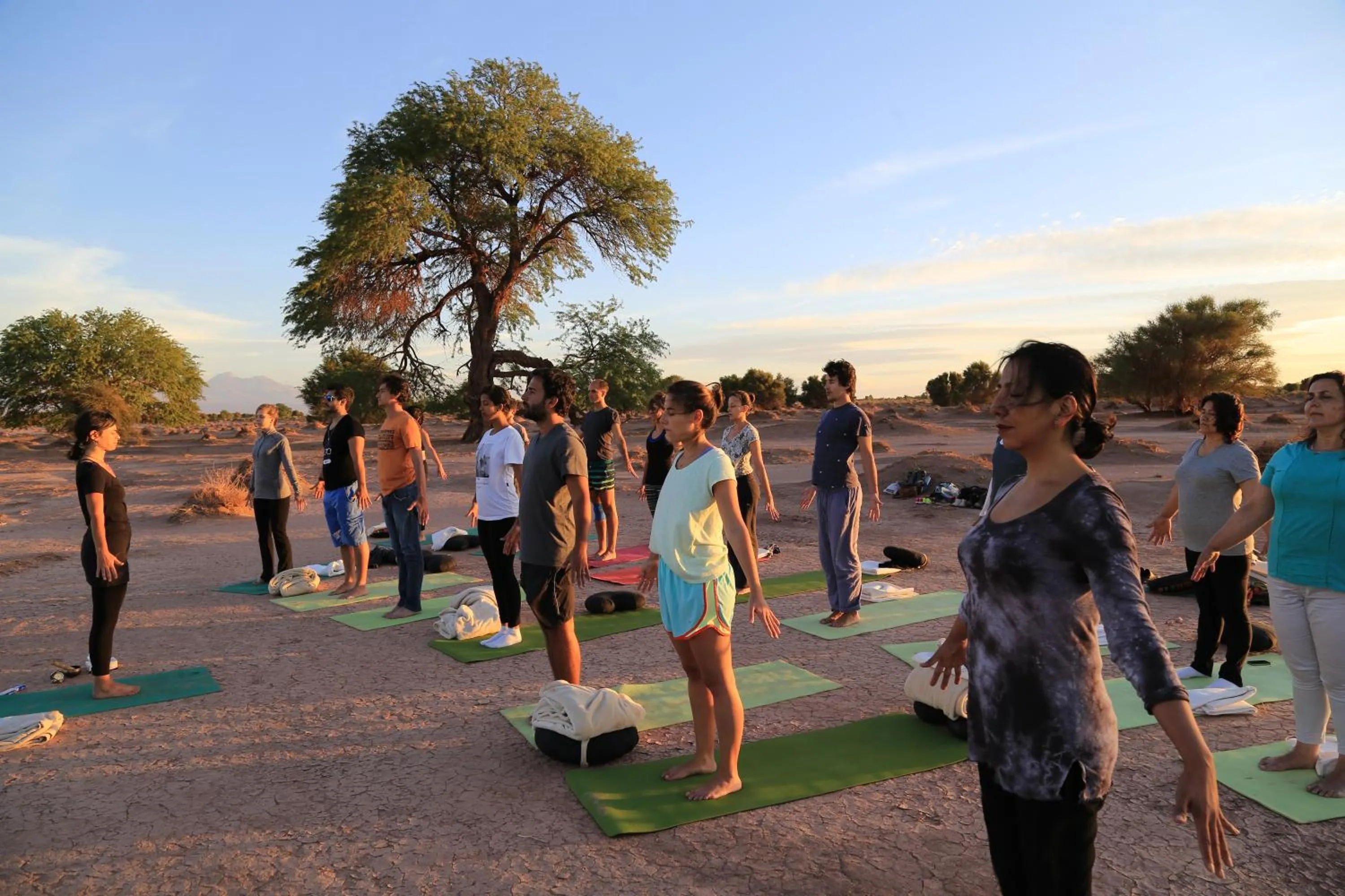 Entertainment in Hotel Poblado Kimal