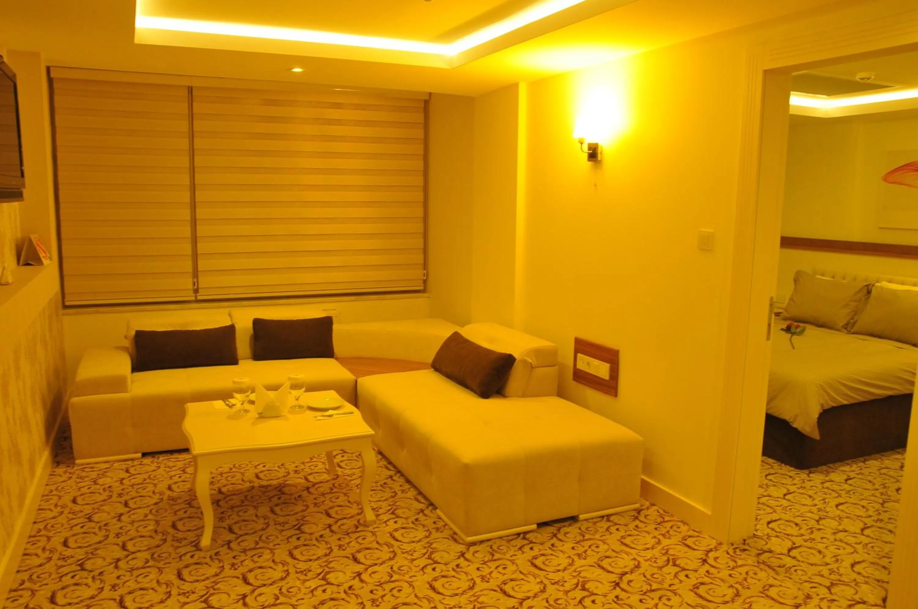 Living room in Hotel Izgi Turhan