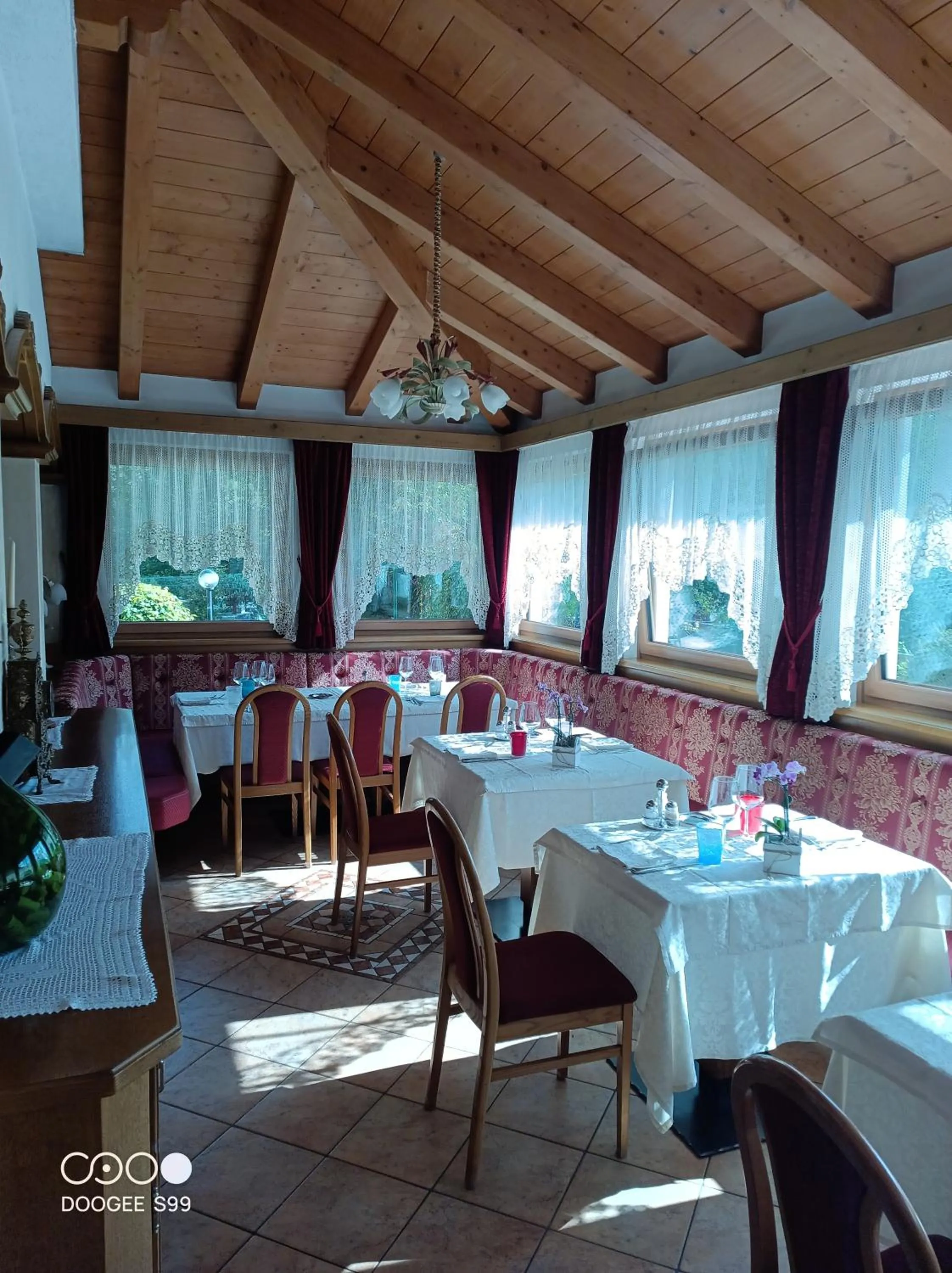 Restaurant/places to eat in Park Hotel Arnica