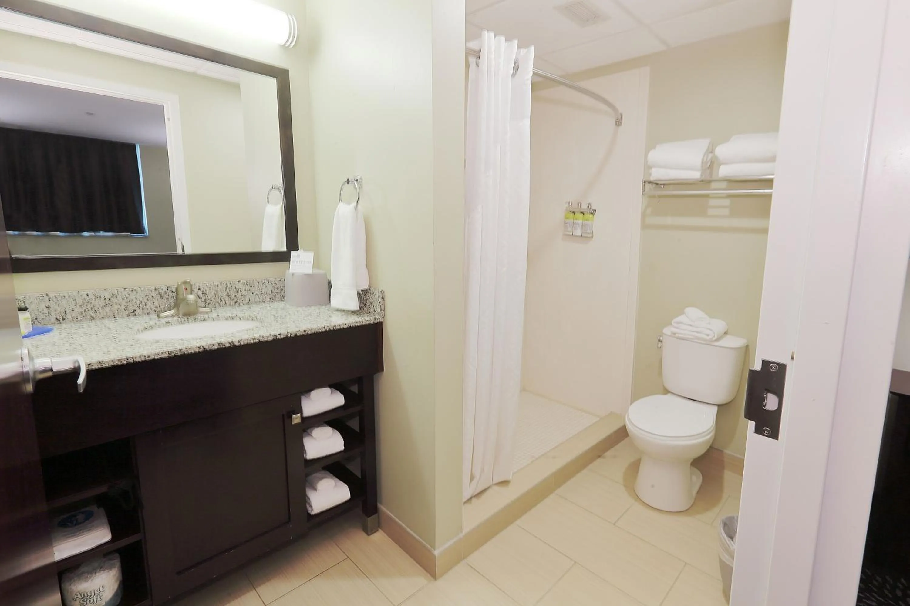 Bathroom in Holiday Inn Express Pittsburgh West - Greentree by IHG
