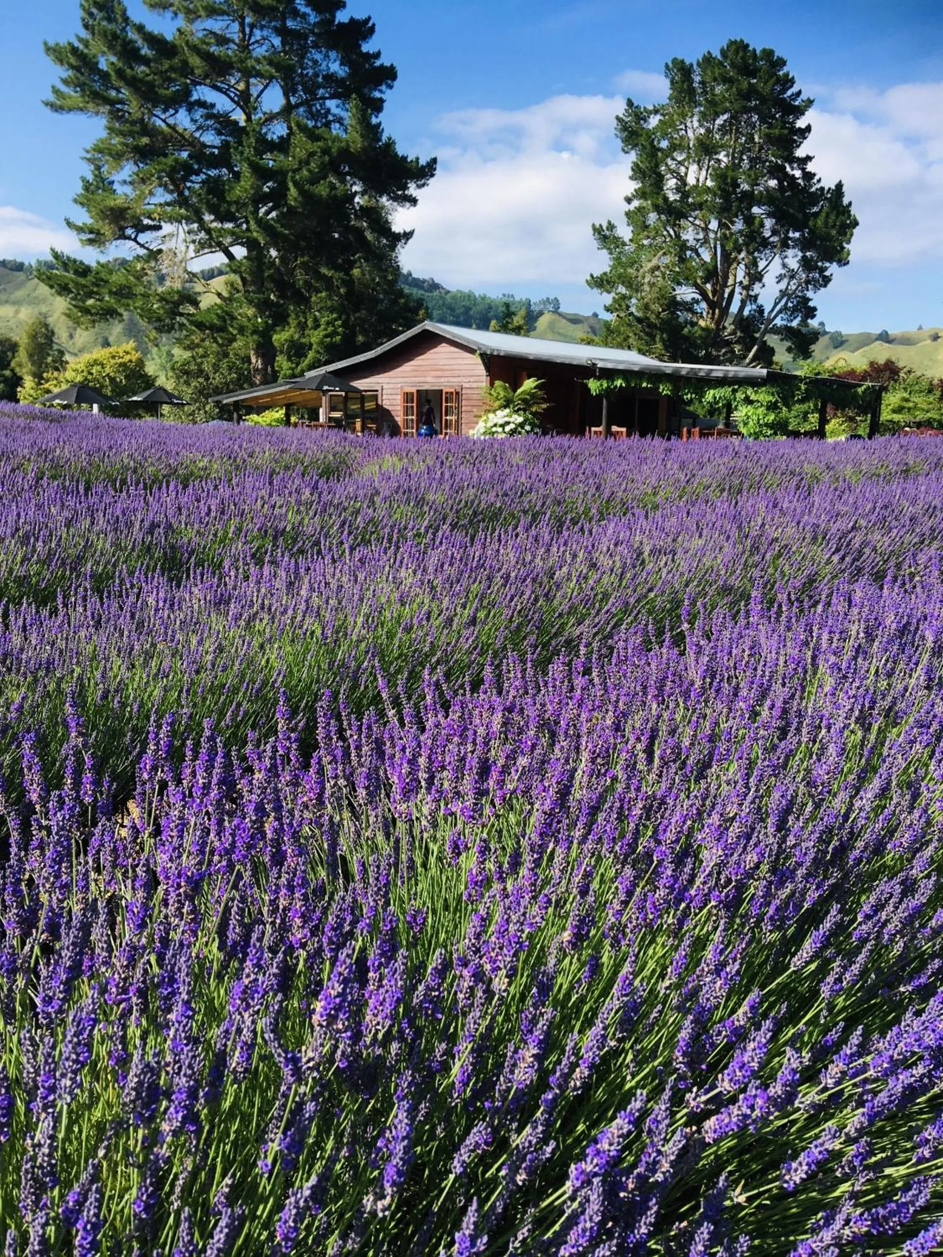 Activities in Alexander Motel