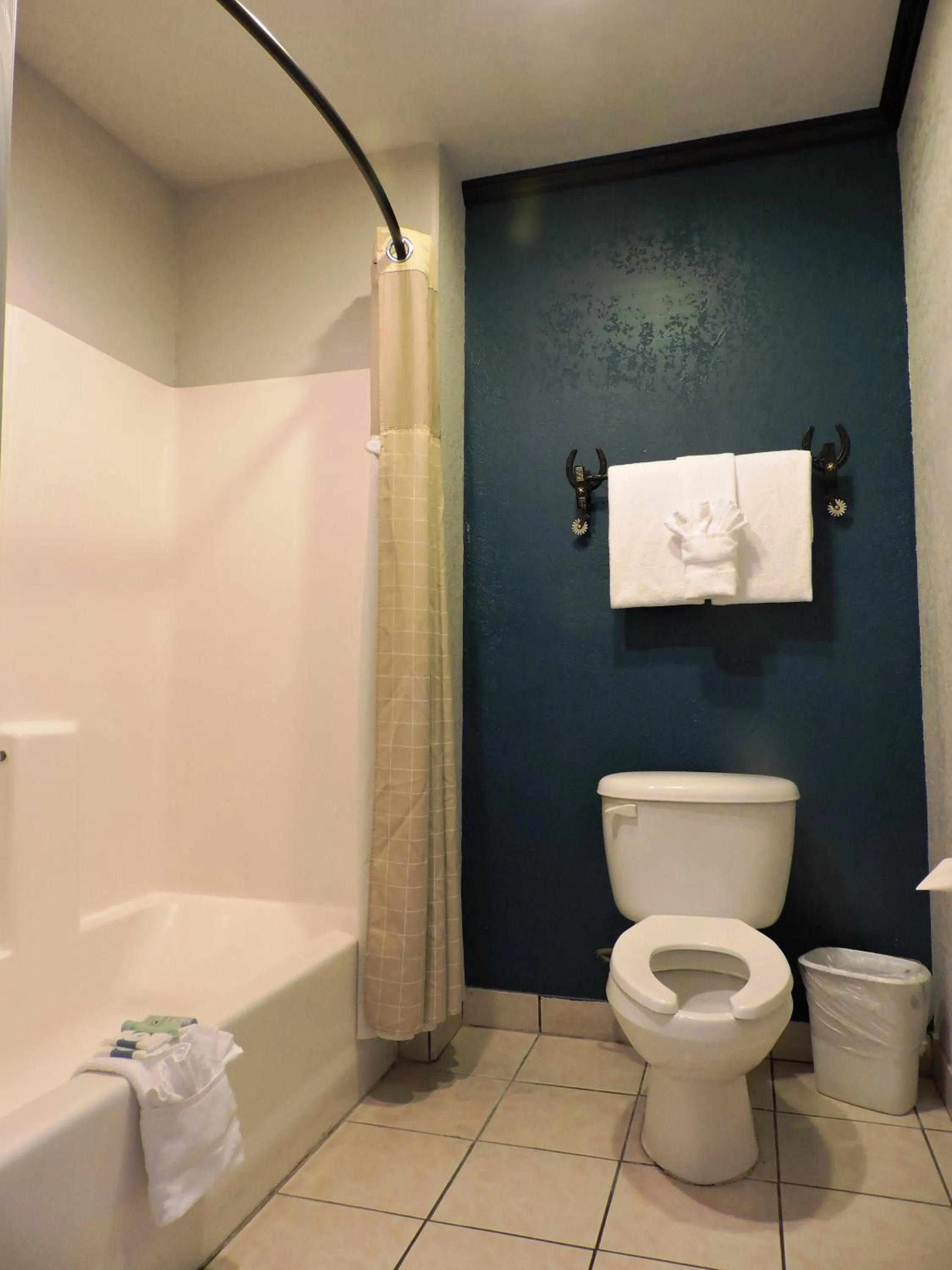 Bathroom in Riata Inn - Marfa