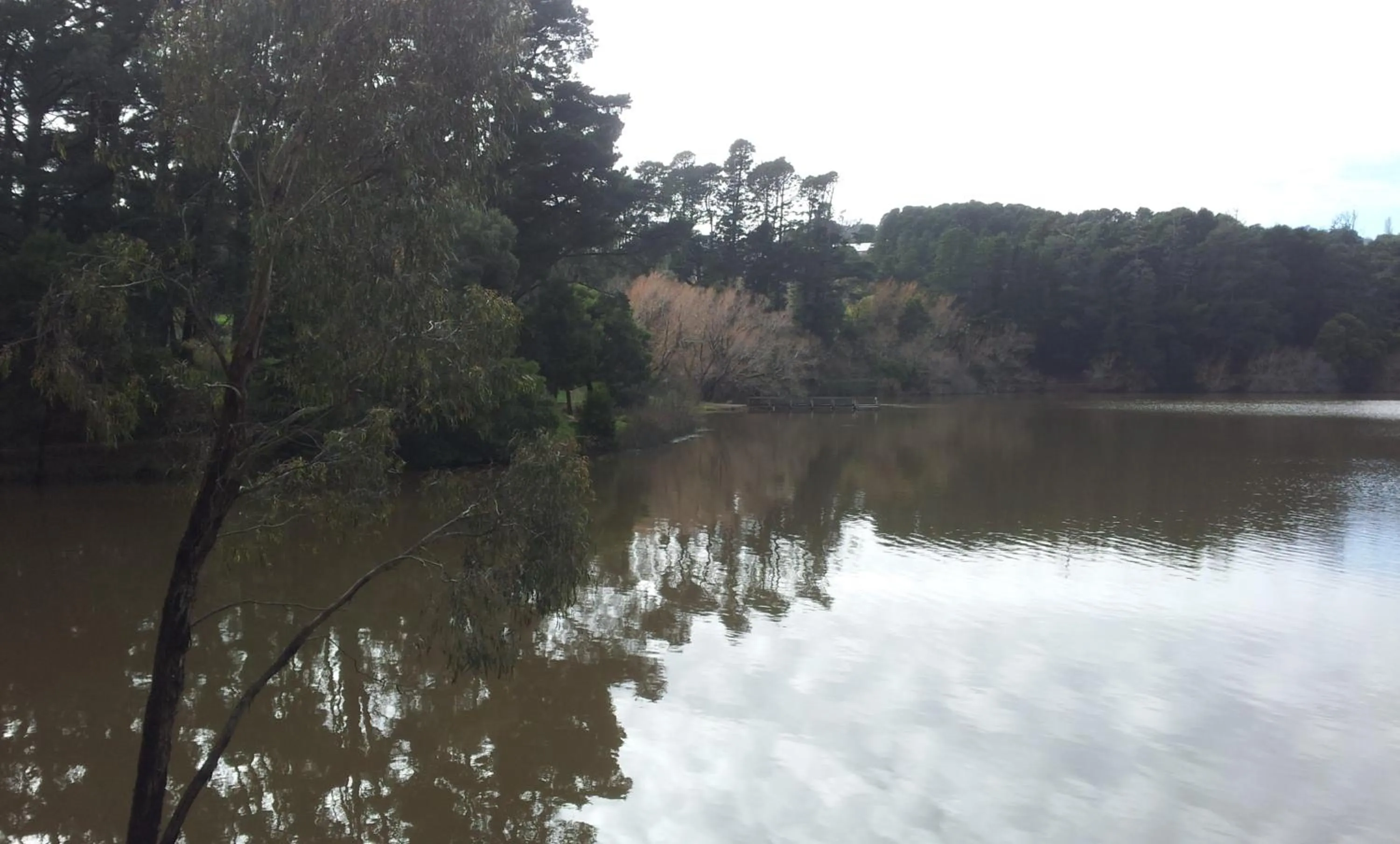 Area and facilities in Daylesford Motor Inn Vic Pty Ltd