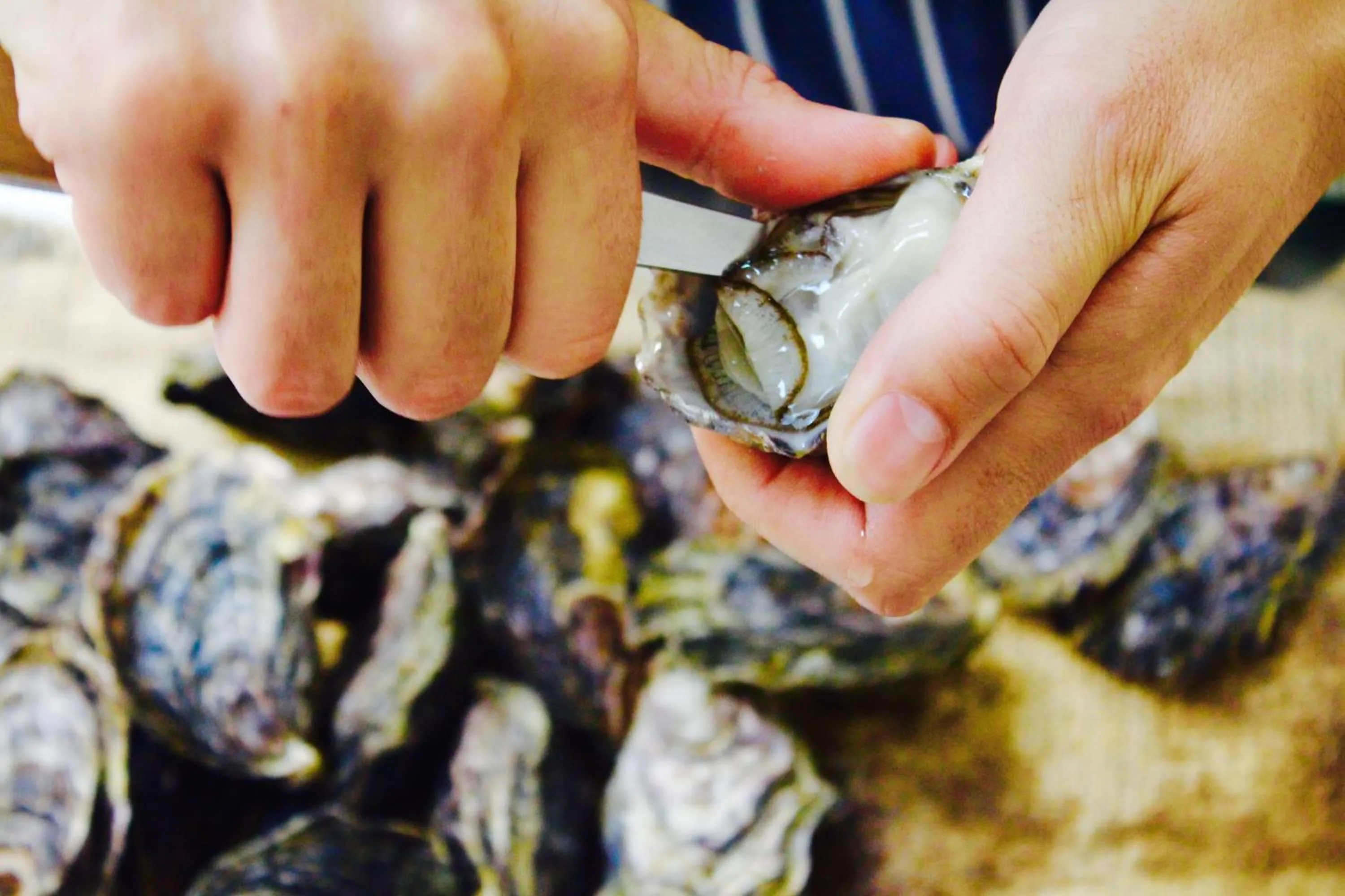 Restaurant/places to eat in Waiheke Island Resort Conference & Accomodation Centre