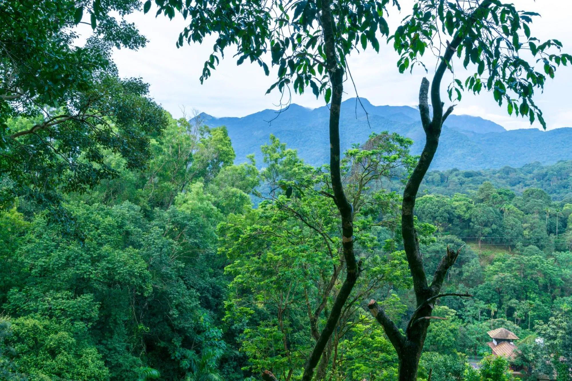 Mountain view in Upavan Resort