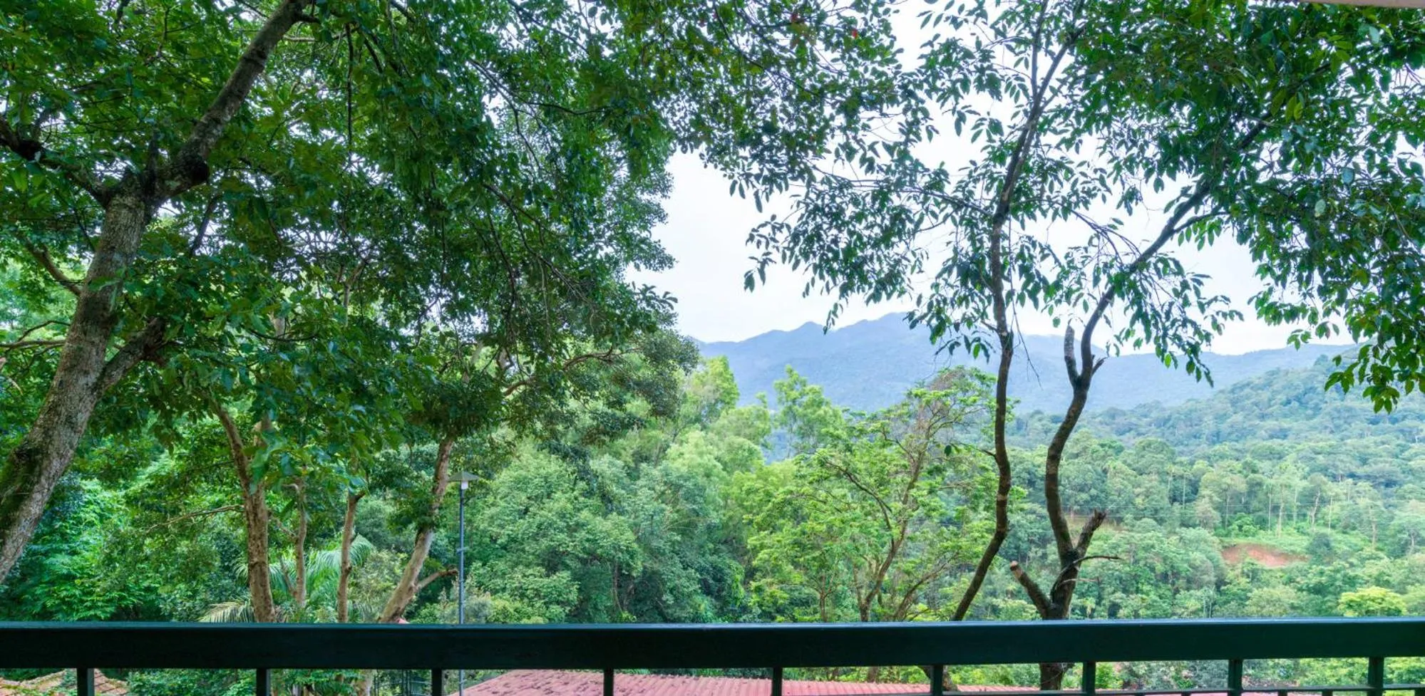 View (from property/room) in Upavan Resort