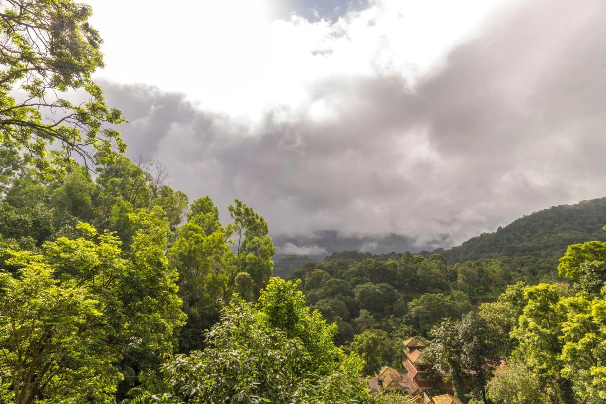 Bird's eye view in Upavan Resort