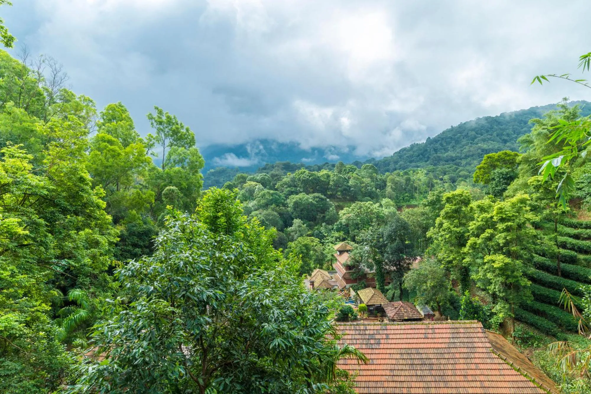 View (from property/room) in Upavan Resort