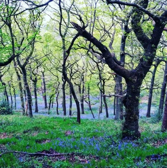 Off site in Finkle Green B & B