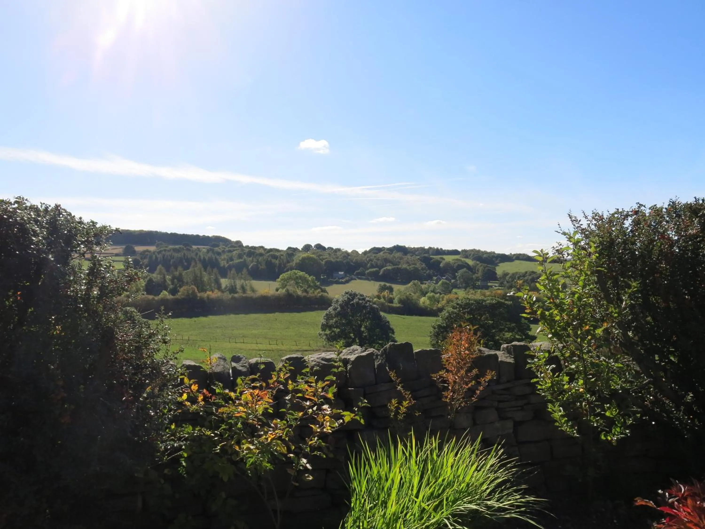 Natural landscape in Finkle Green B & B