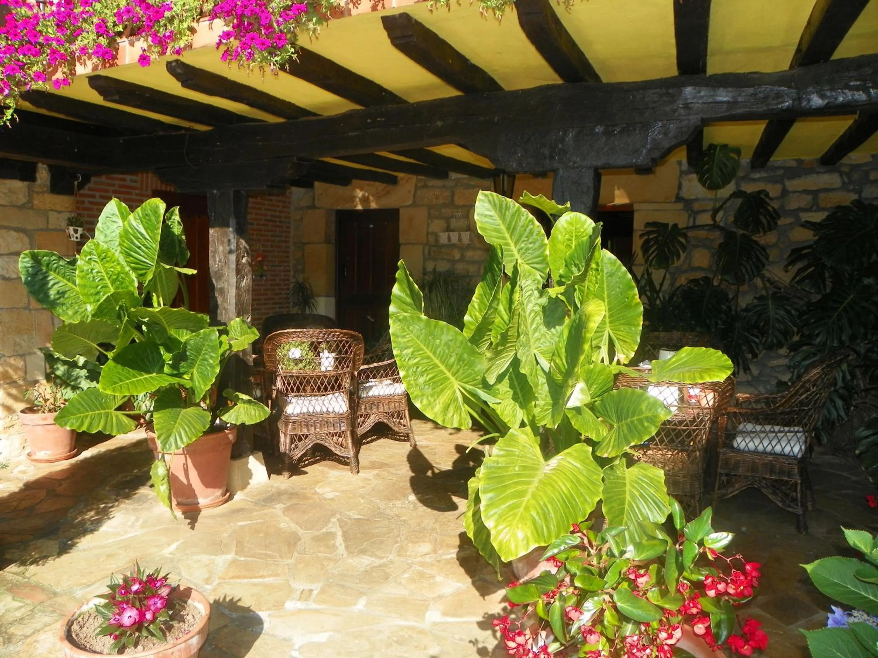 Lobby or reception in Posada Gema