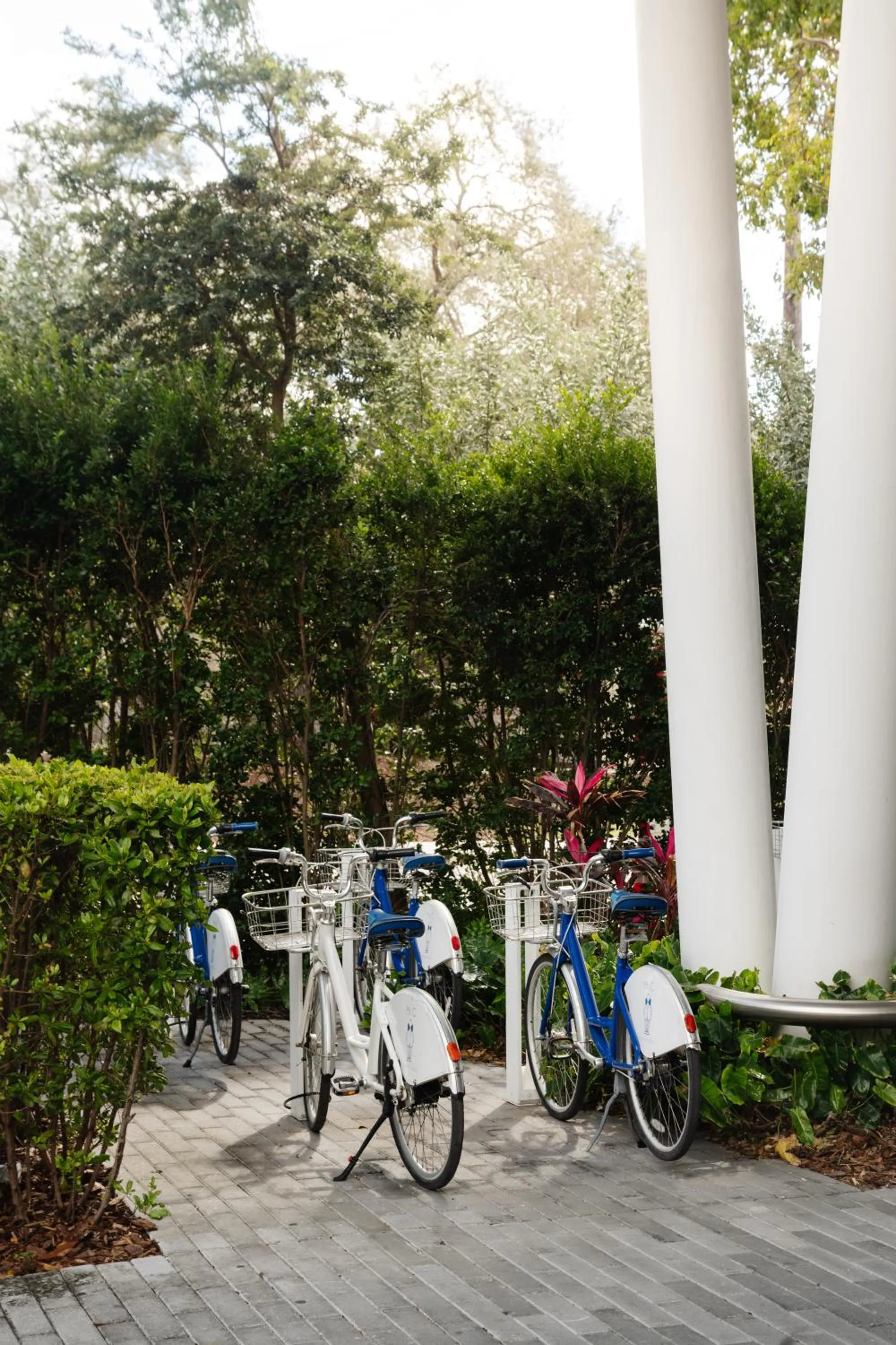 Cycling in Mr. C Miami - Coconut Grove