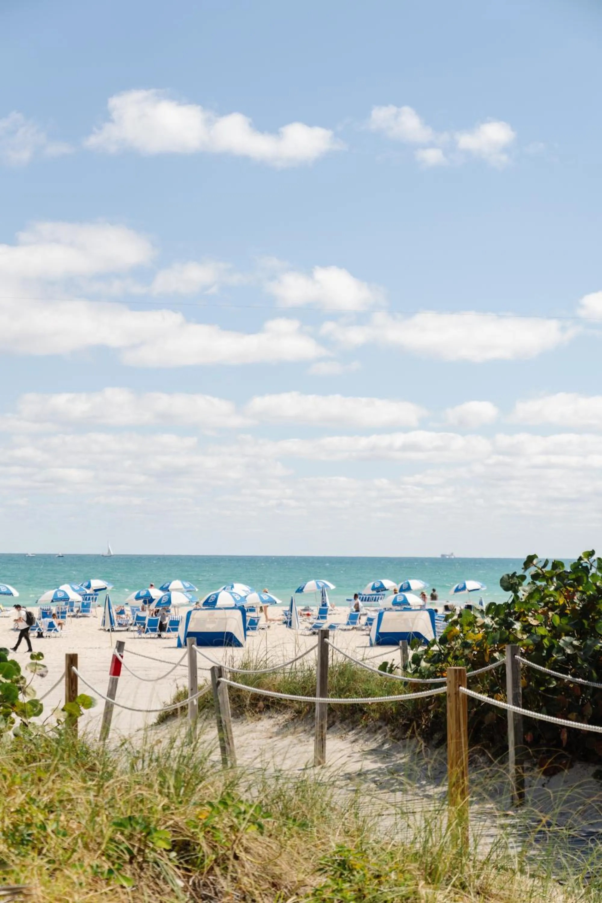Beach in Mr. C Miami - Coconut Grove