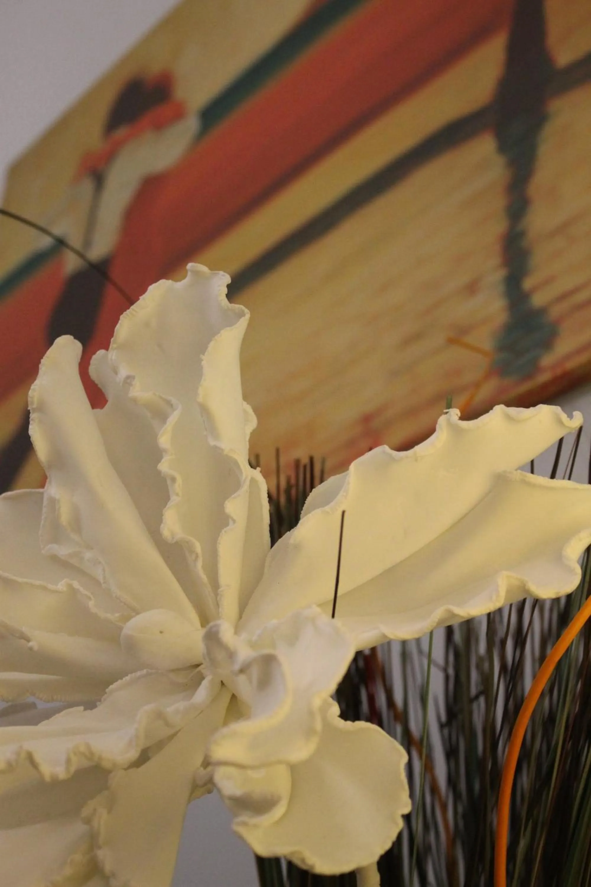 Al 68 Di Piazza Cavour