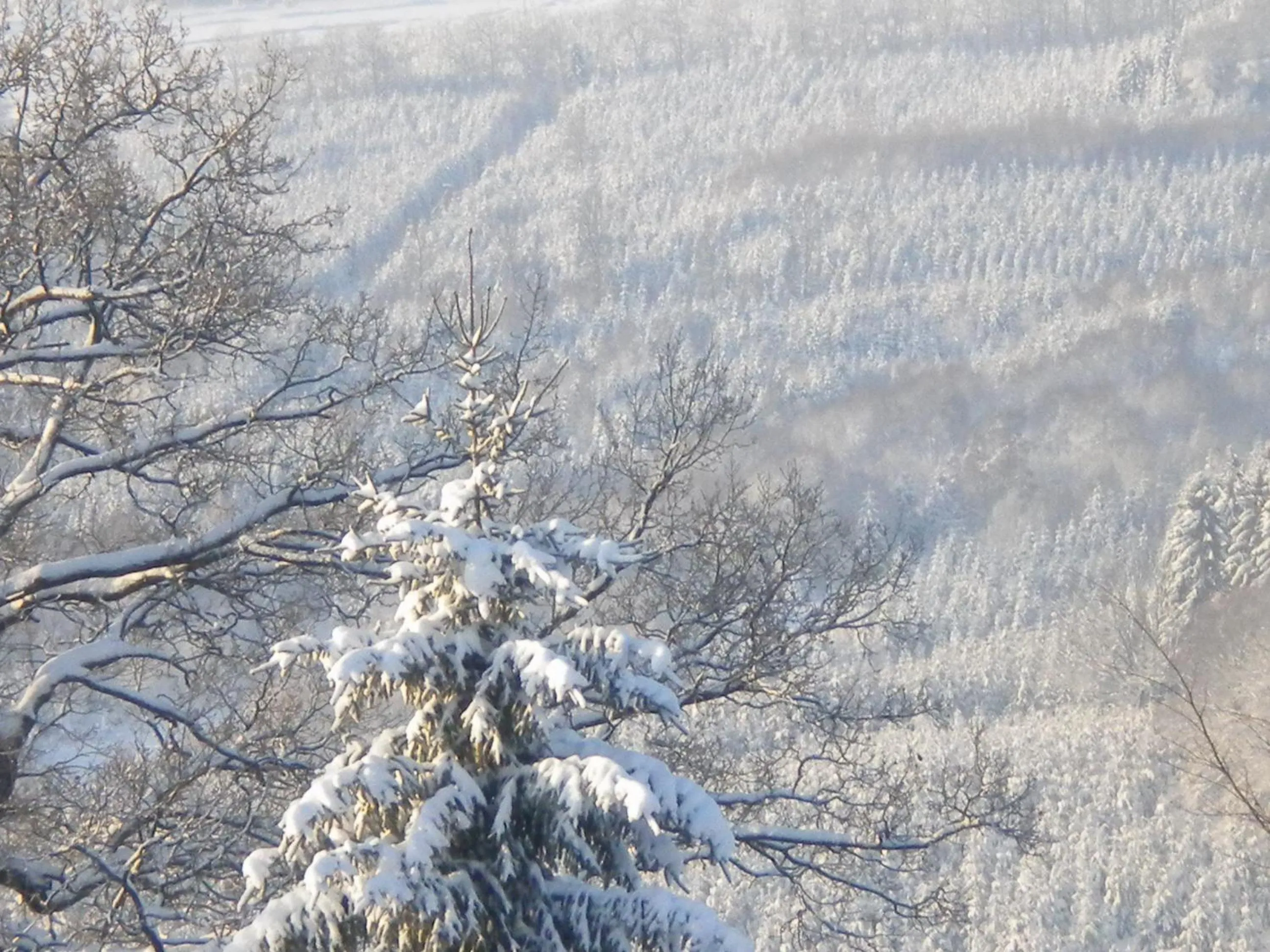 Bird's eye view in B&B Caprice d'Epices