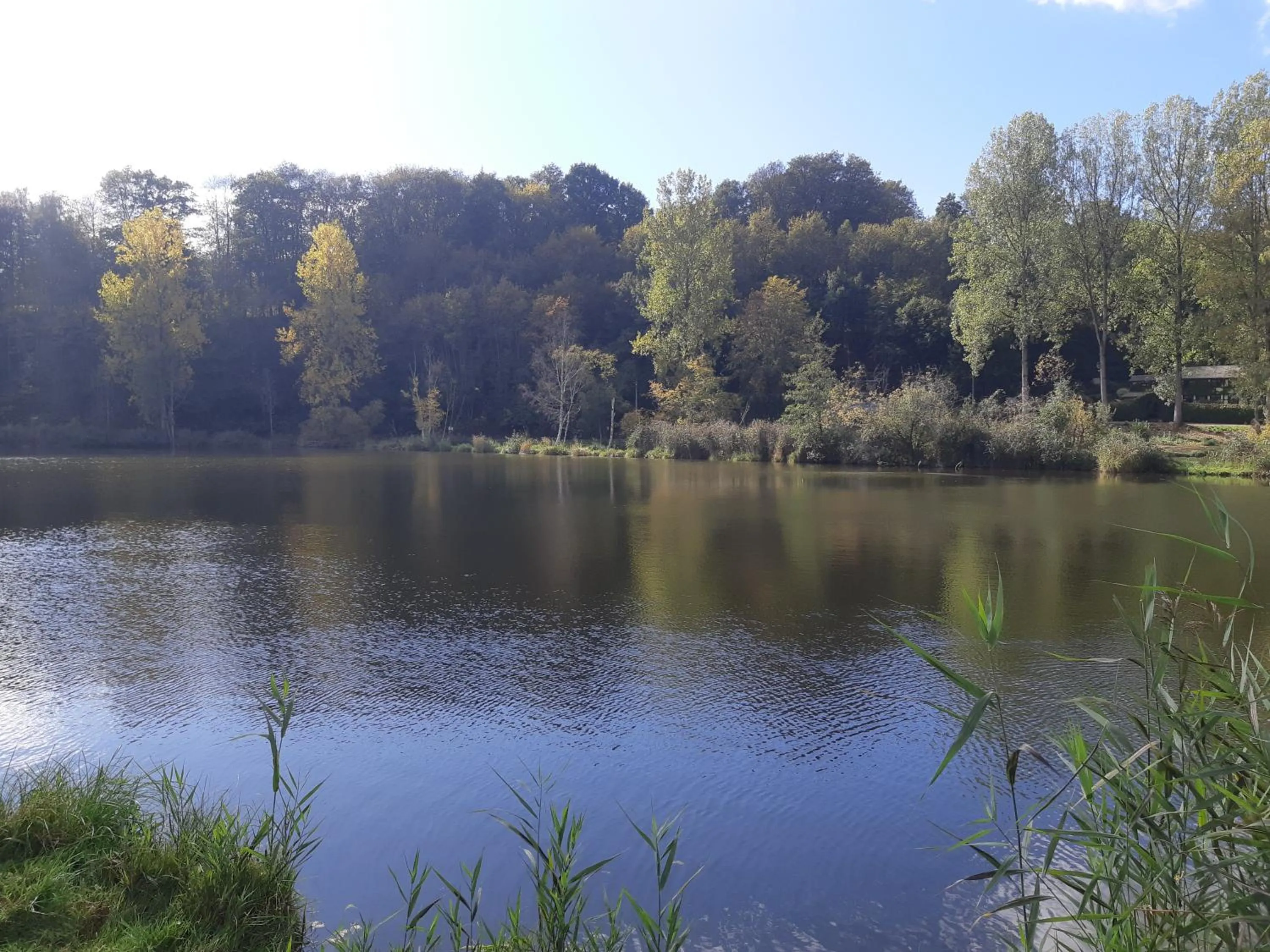 Activities in B&B Caprice d'Epices