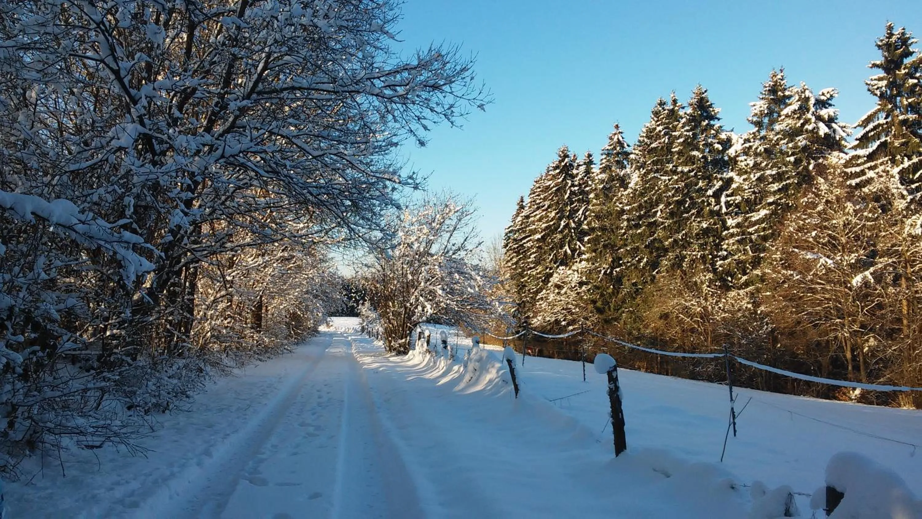 Activities in B&B Caprice d'Epices