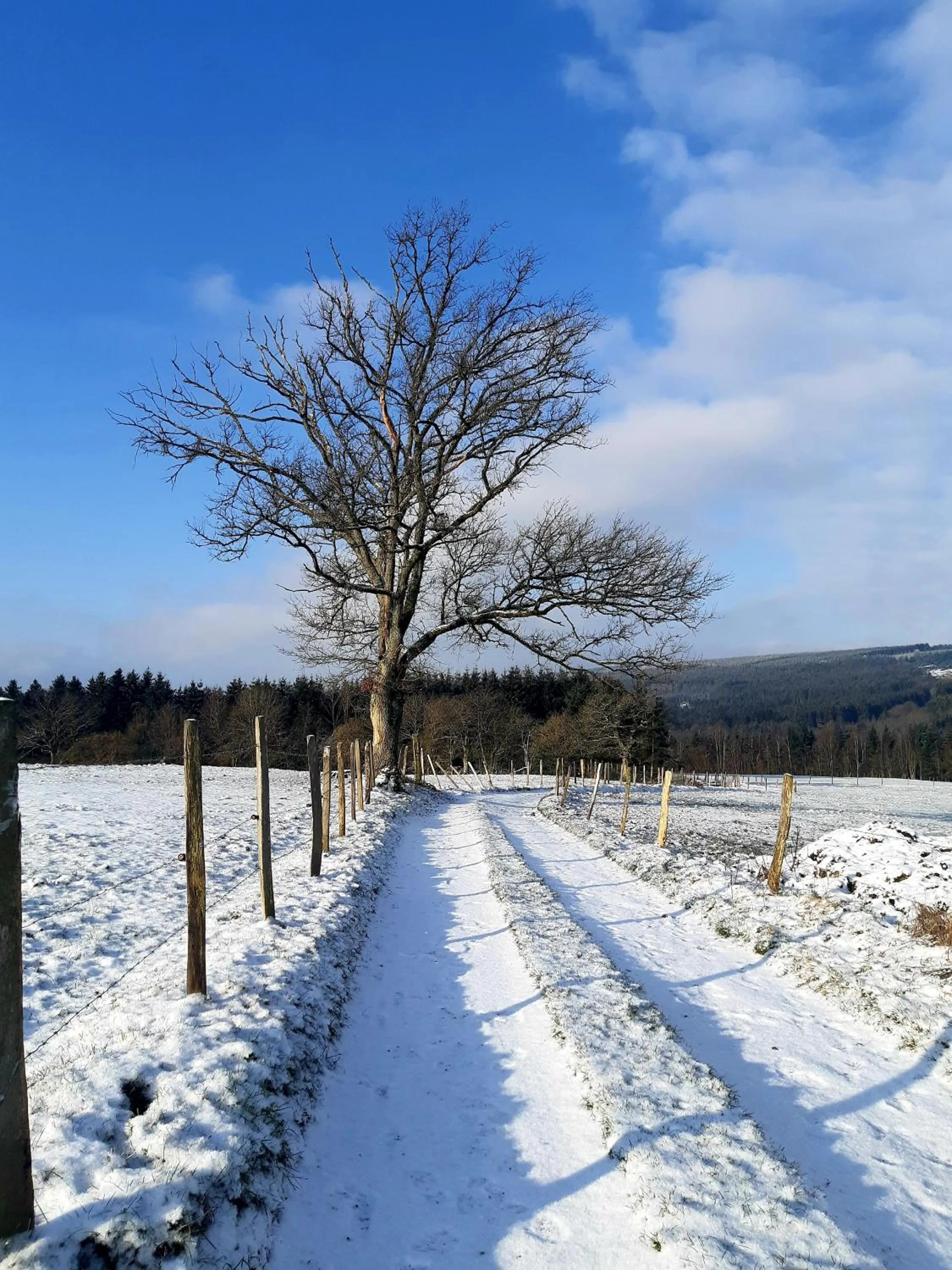 Natural landscape in B&B Caprice d'Epices