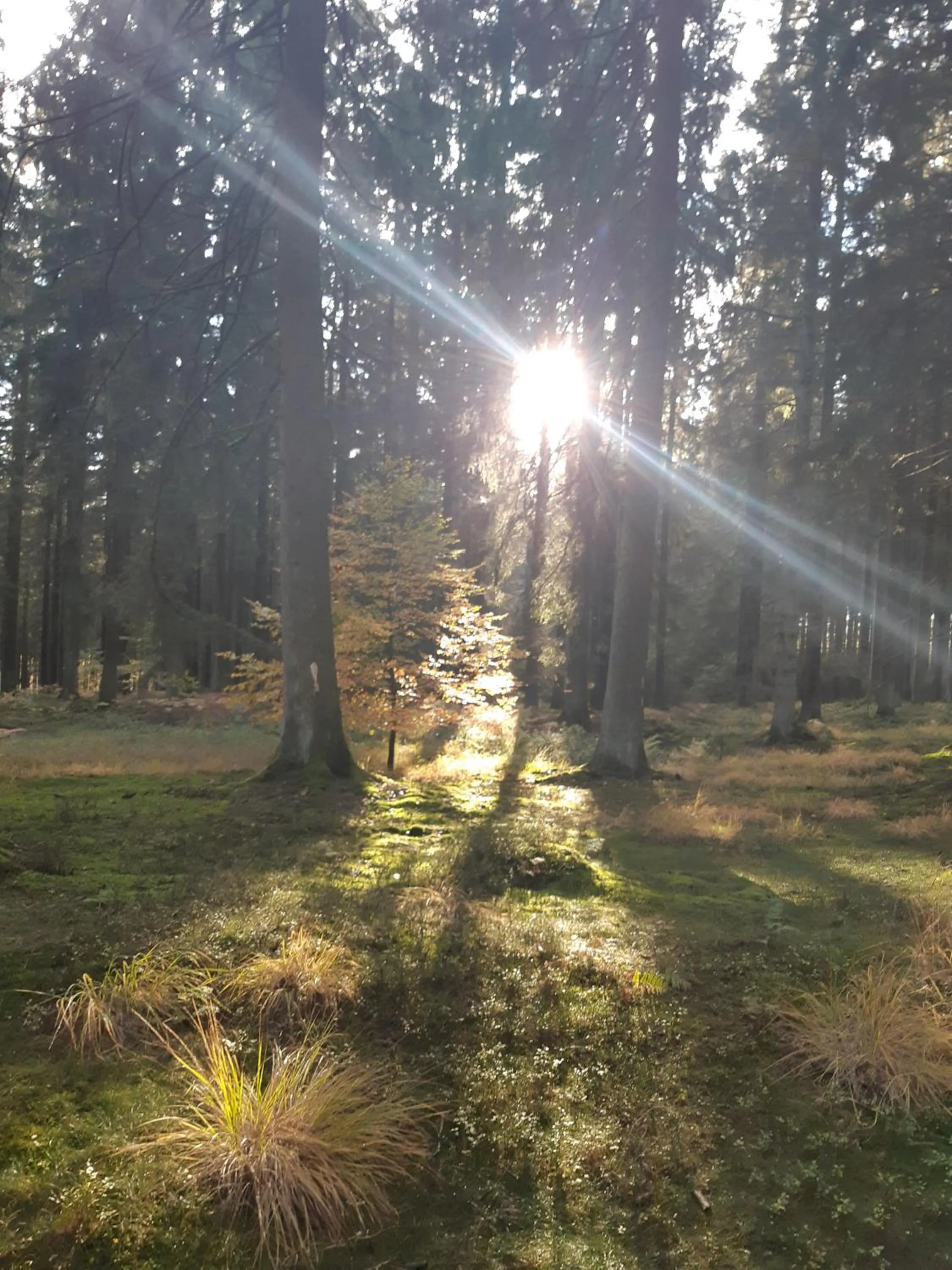 Activities in B&B Caprice d'Epices