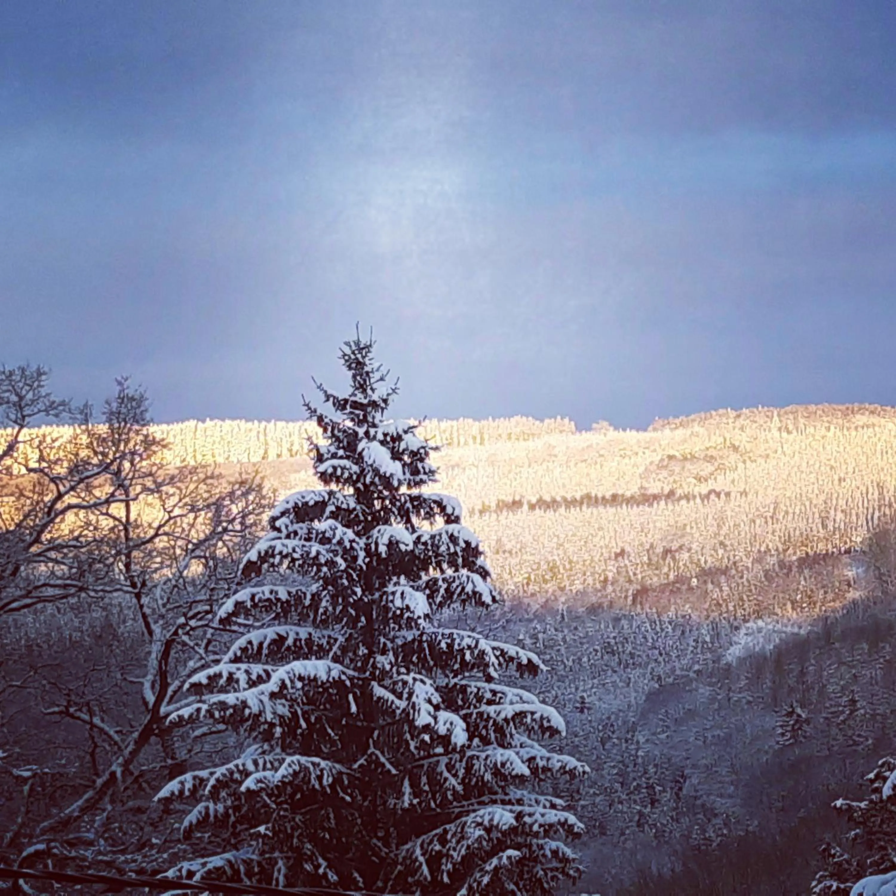 Natural landscape in B&B Caprice d'Epices