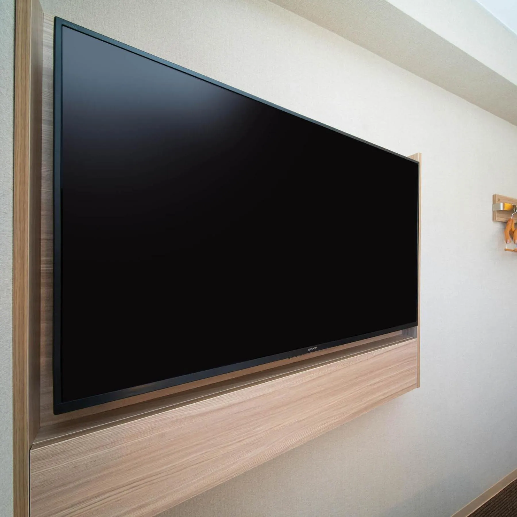 TV and multimedia in Super Hotel Nagano Iida Inter