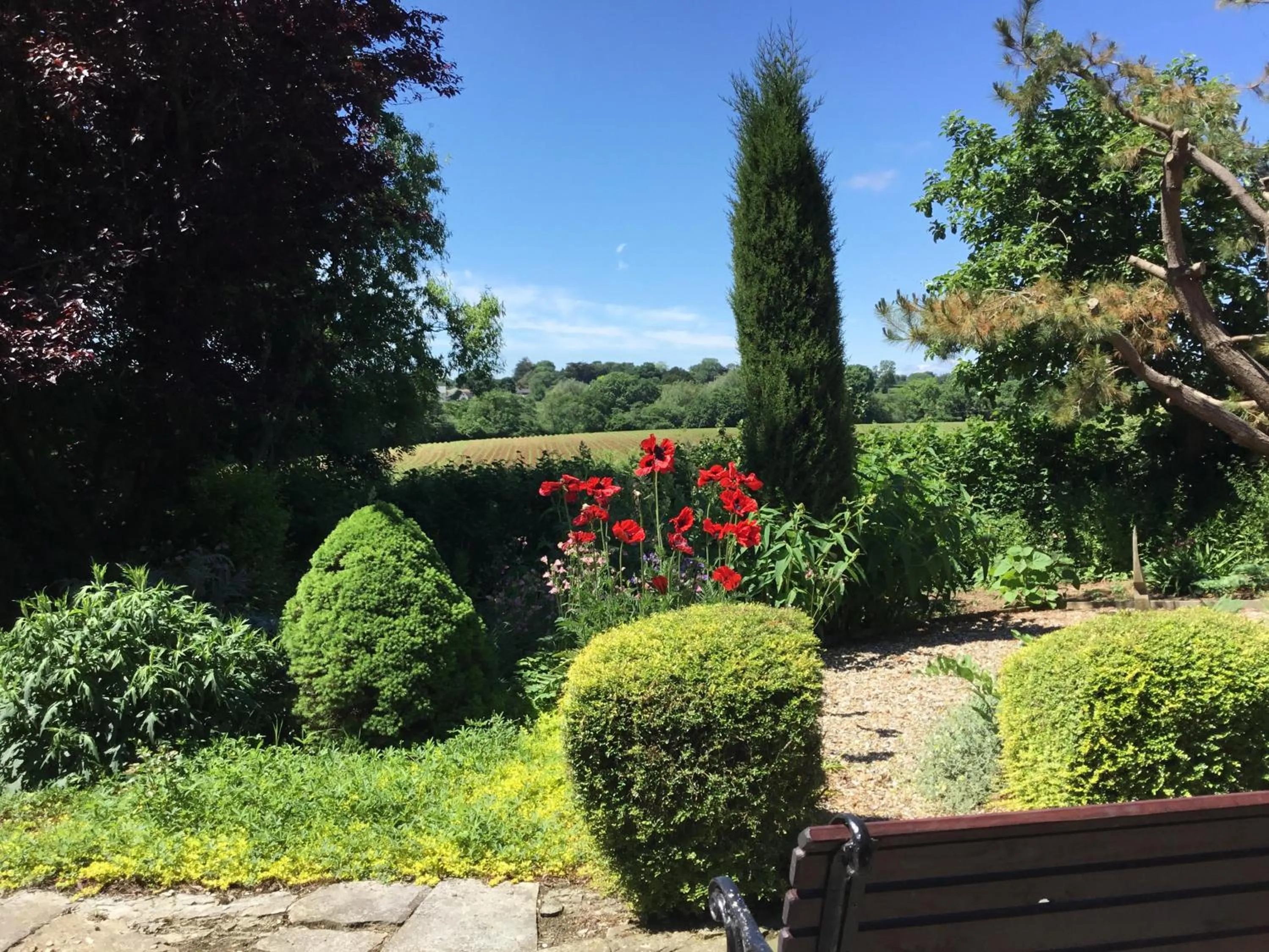 Natural landscape in Gorse Farm House B&B
