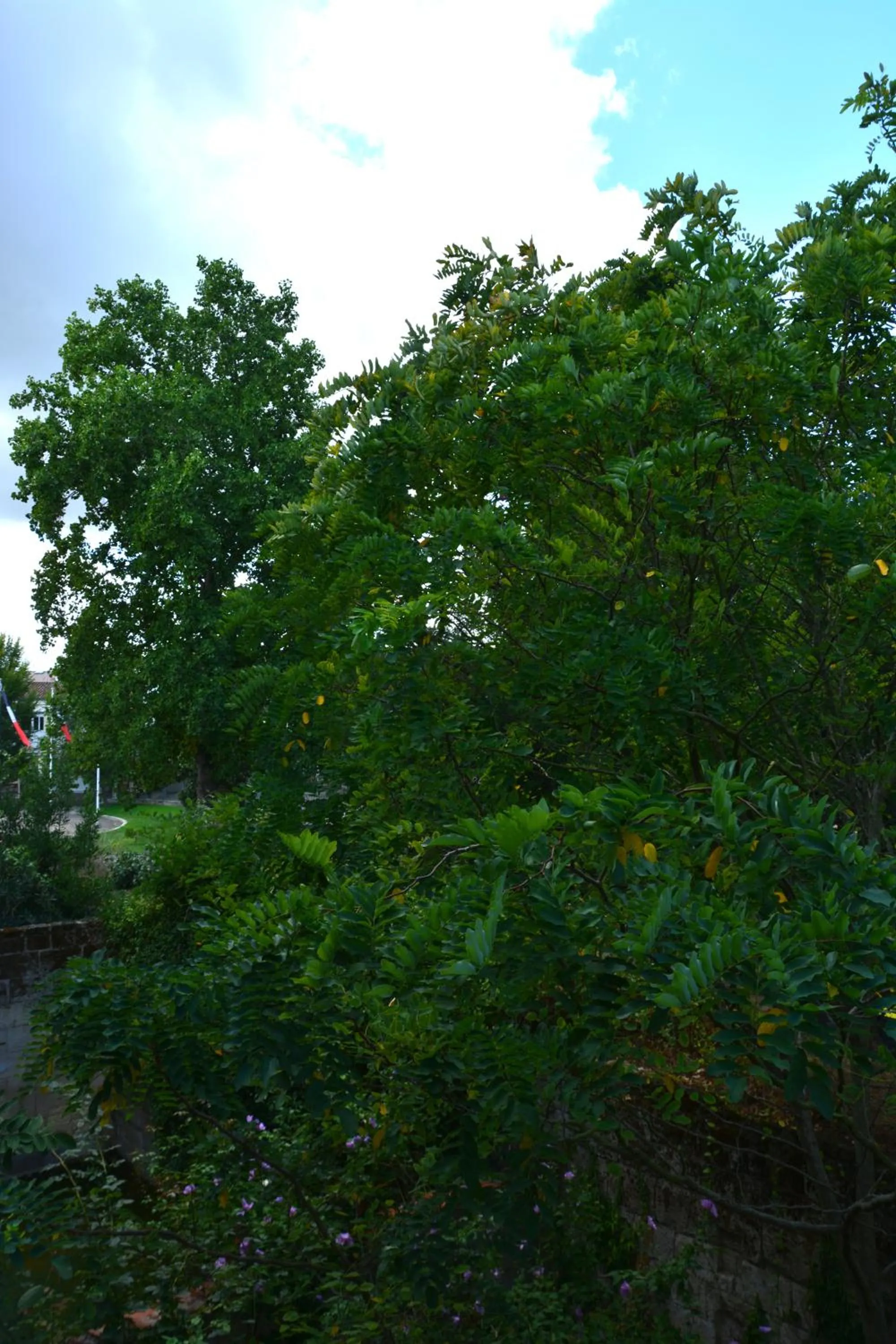 View (from property/room) in la maison, chambre d'hôtes de charme, Libourne saint Emilion