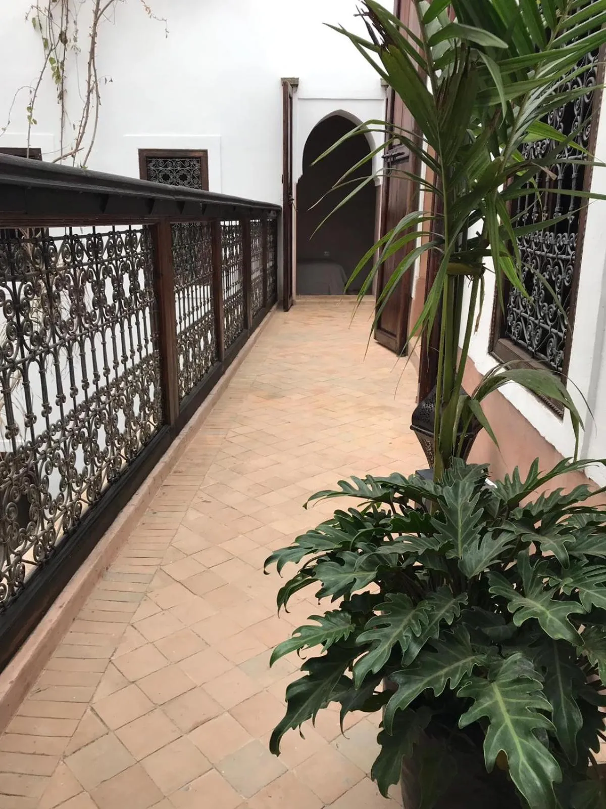 Day in Riad Wabisabi