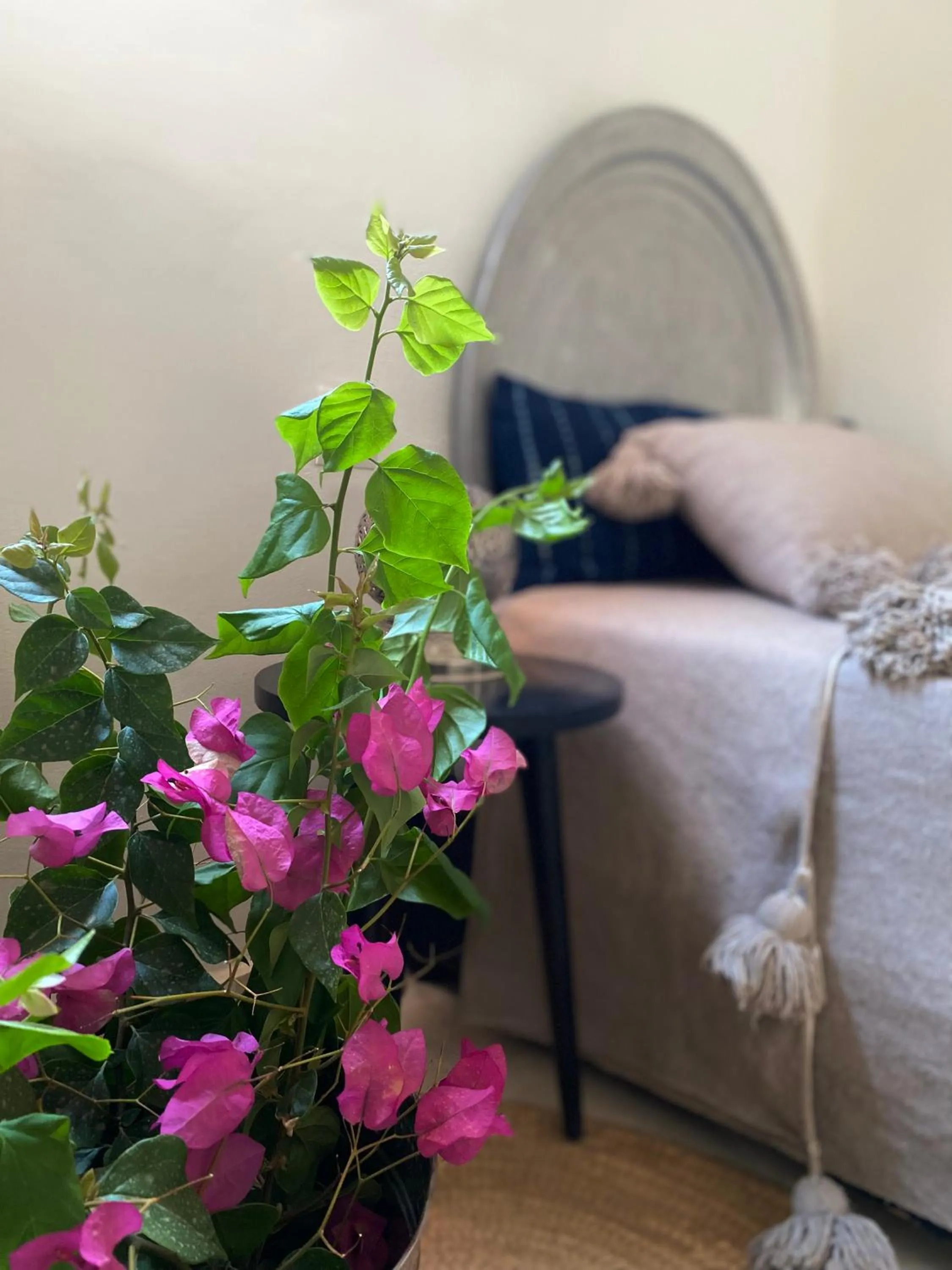 Bed in Riad Wabisabi