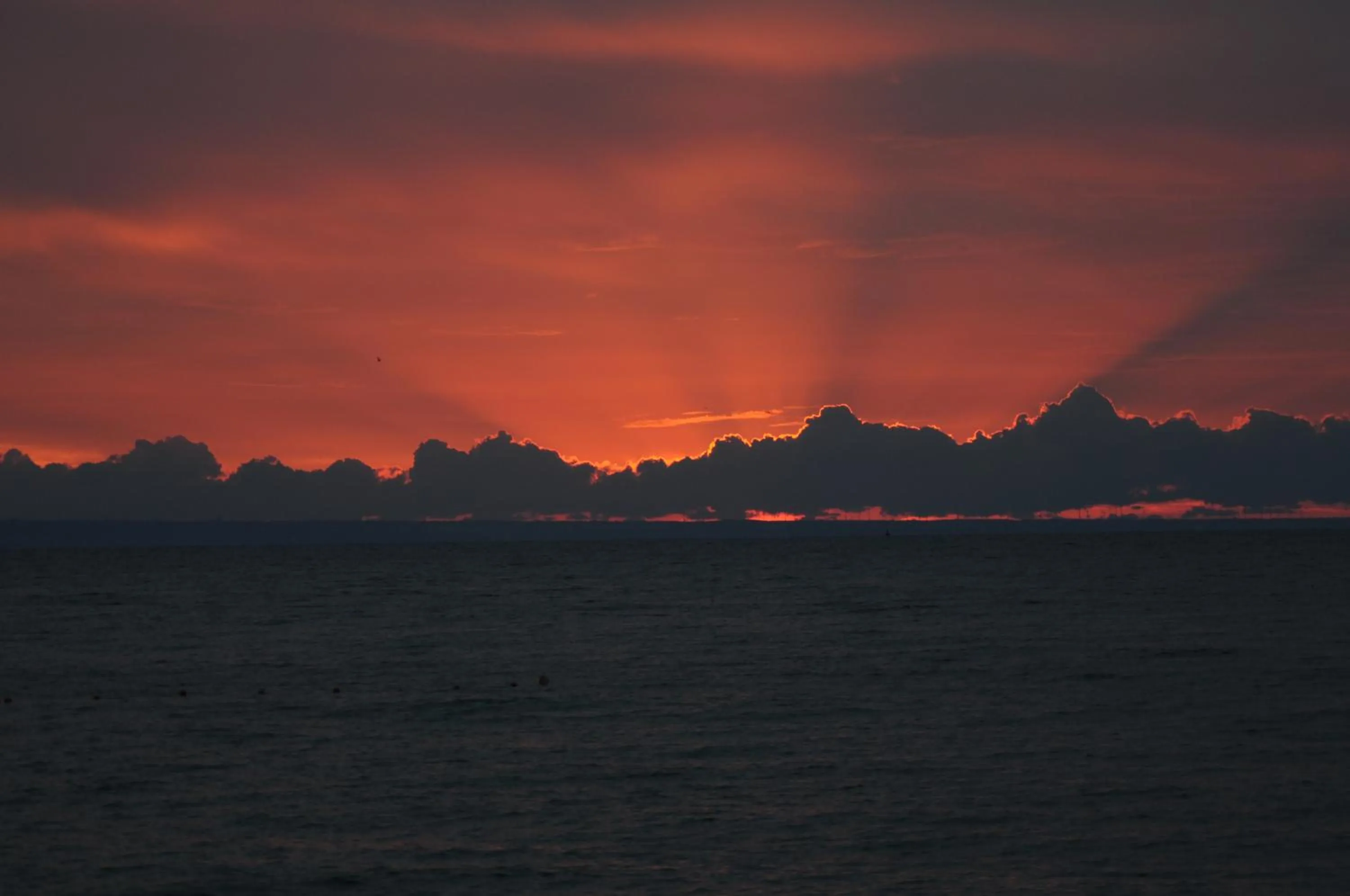 Sea view in Family Hotel Piter