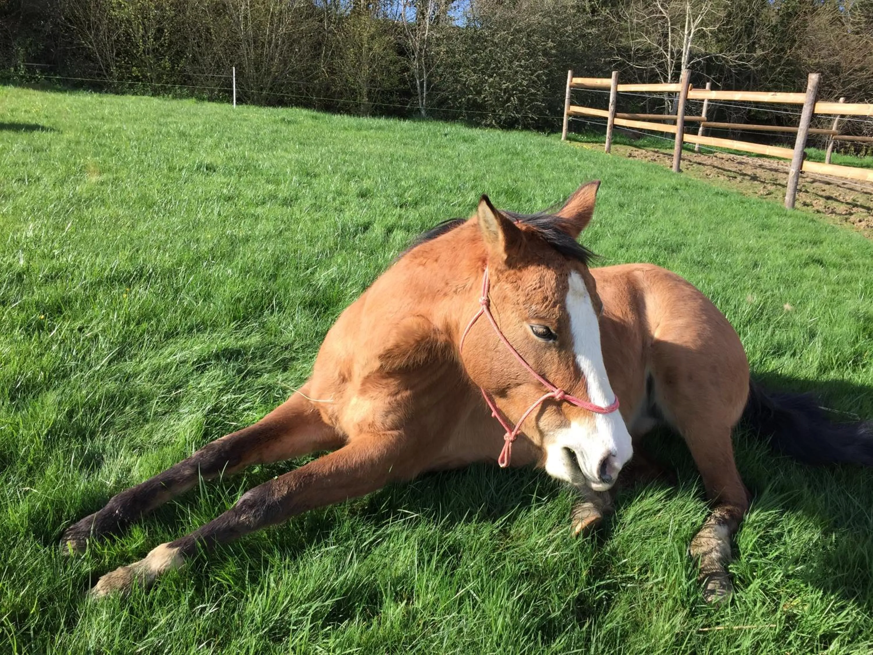 Chambres d'Hôtes Au Clos du Lit