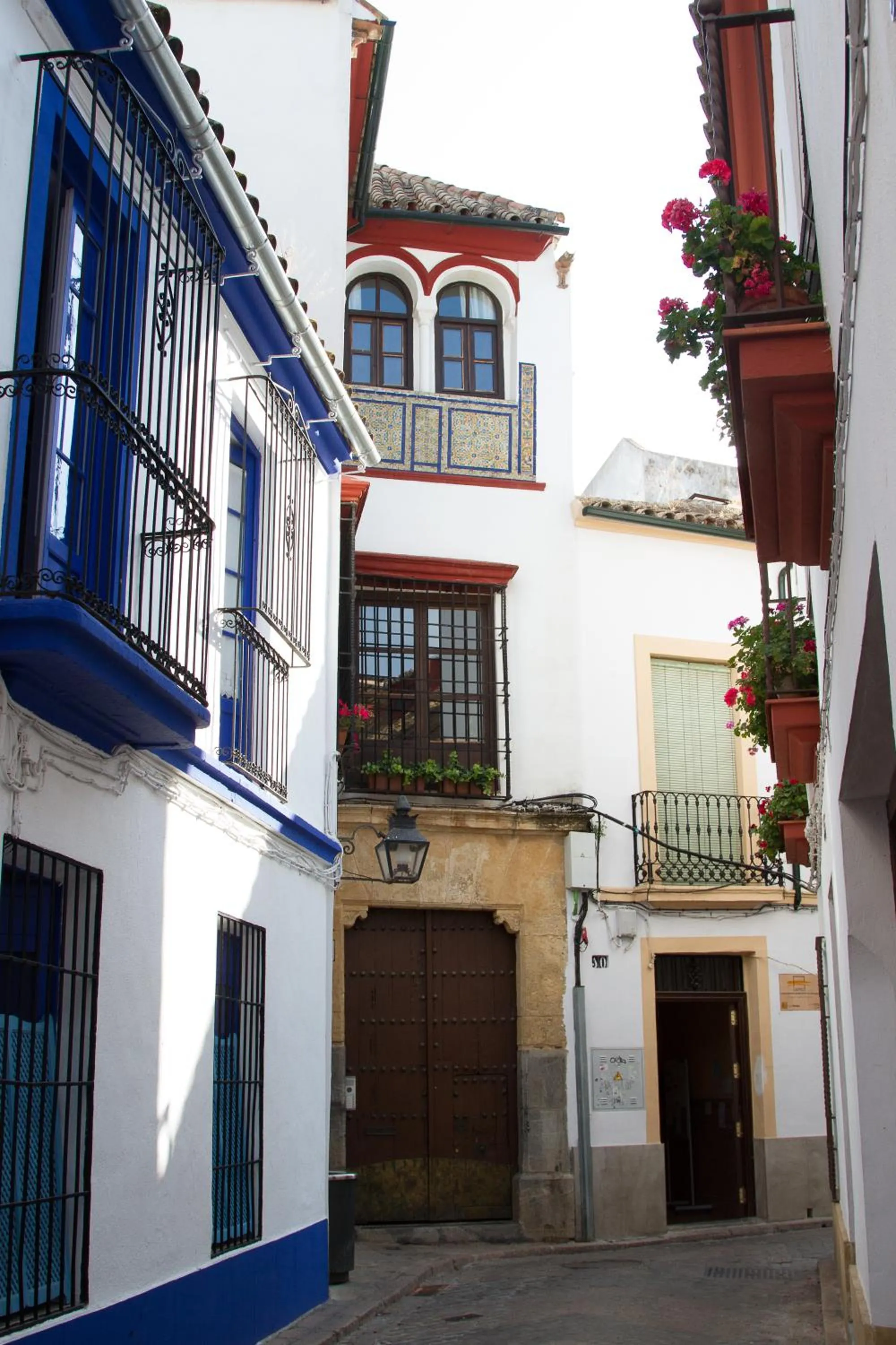 Neighbourhood in Apartamentos Los Patios de la Judería