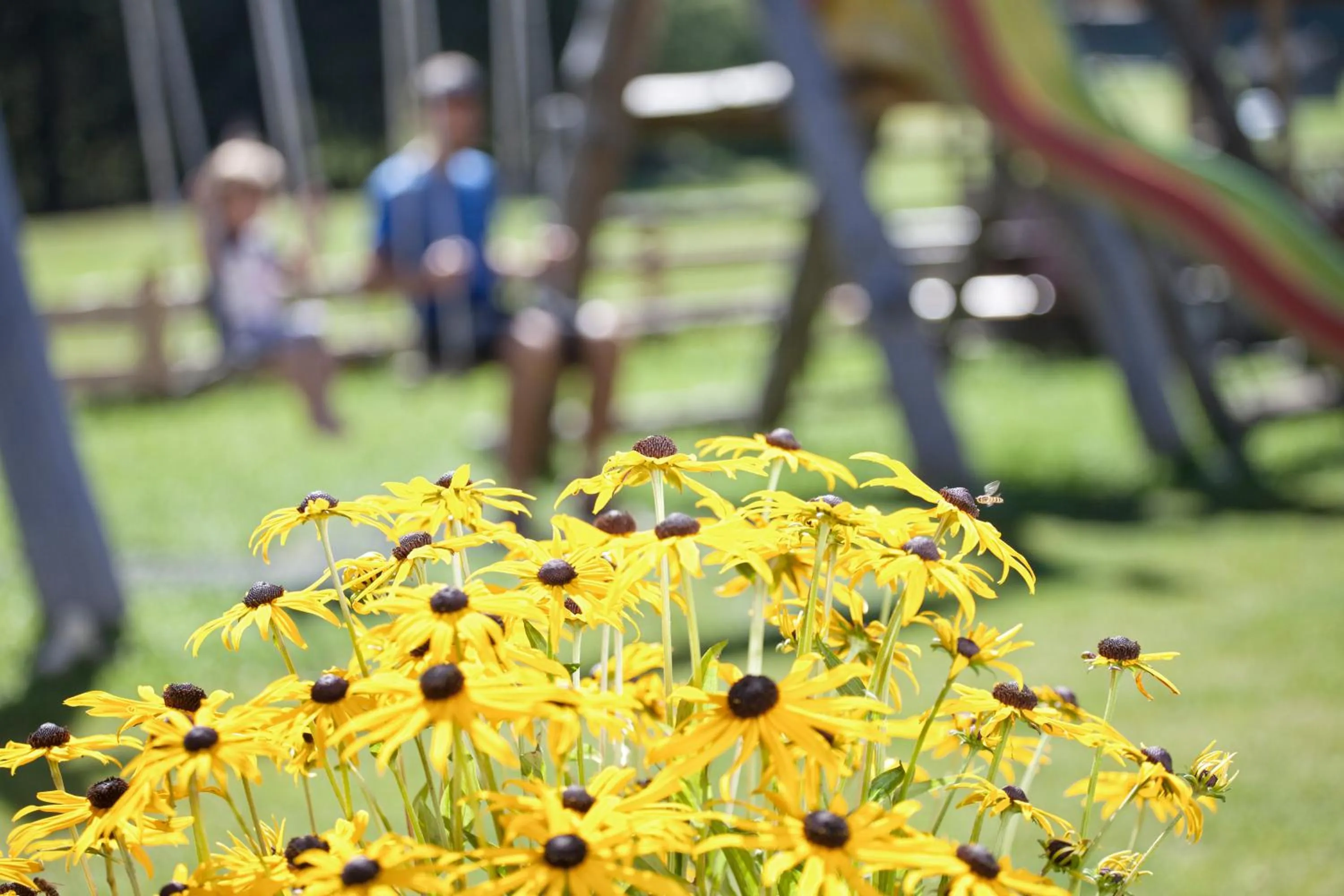 Day in Gasthof Huber