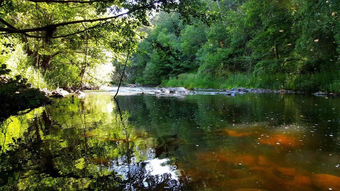 River view in Hôtel du Bout du Monde