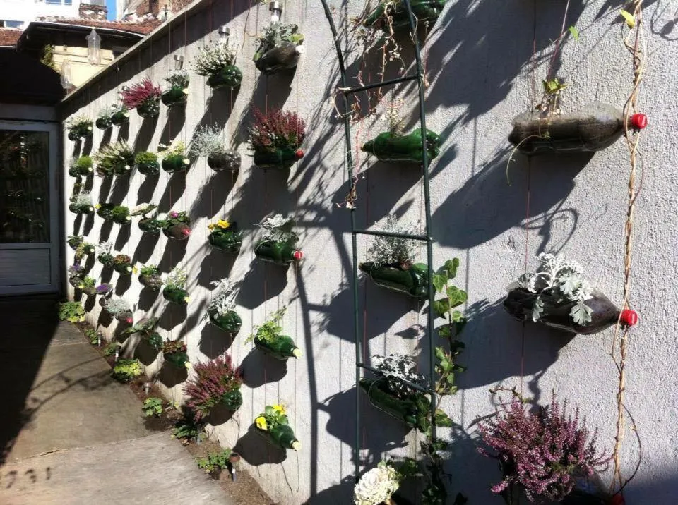 Garden in Pop Bogomil family hotel