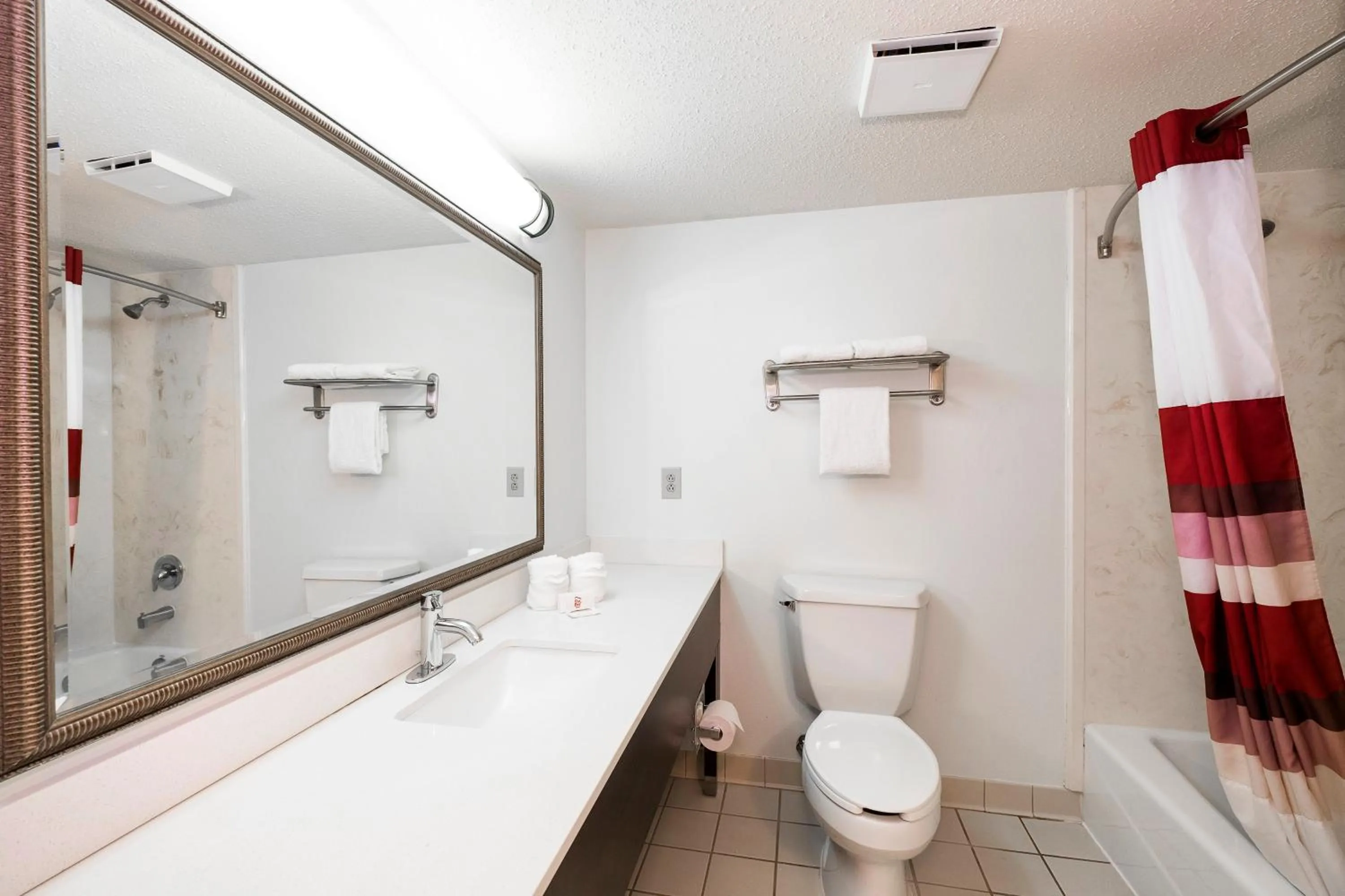 Bathroom in Red Roof Inn & Suites Stafford, VA