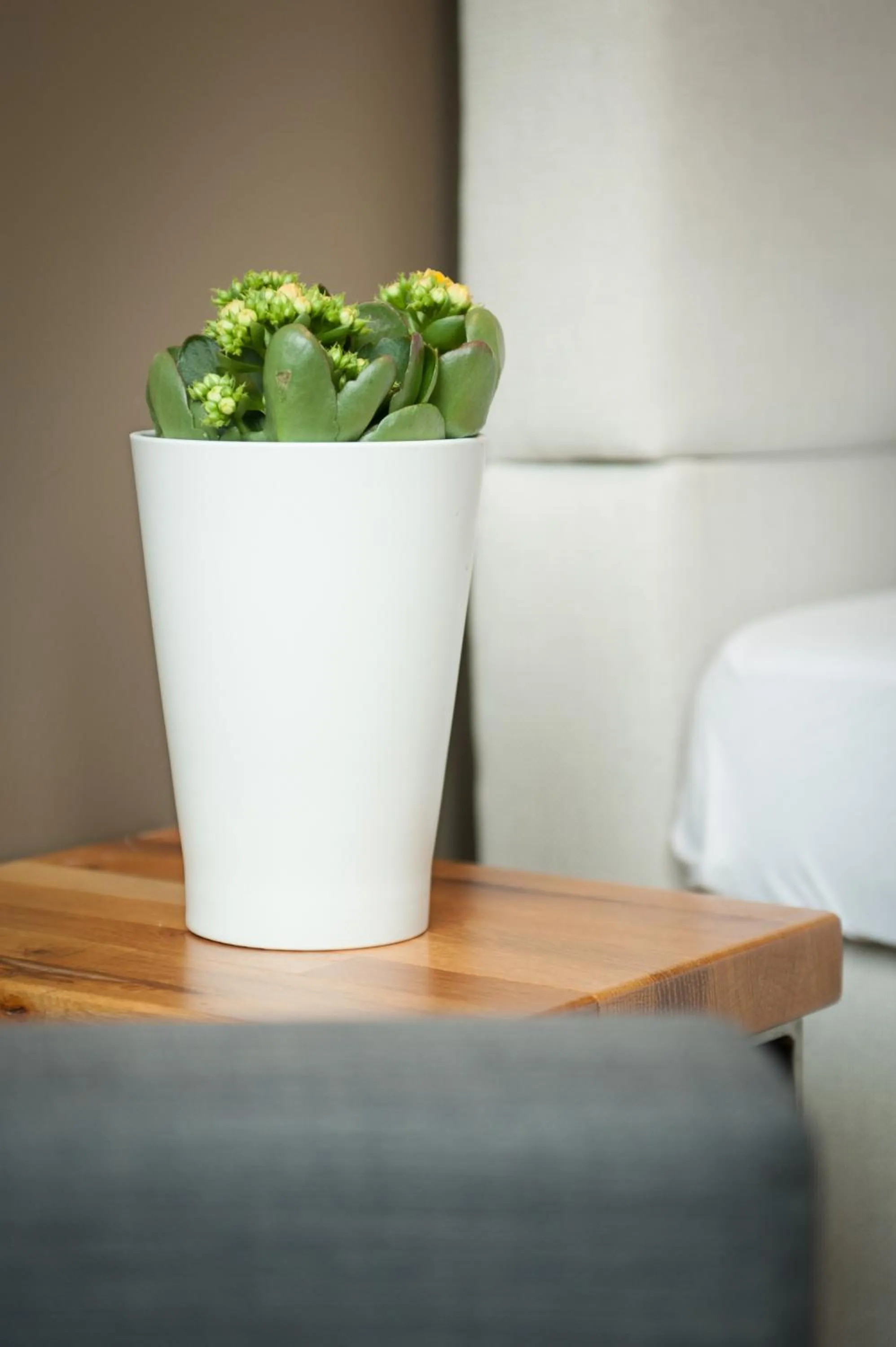 Decorative detail in Five Reasons Hostel & Hotel